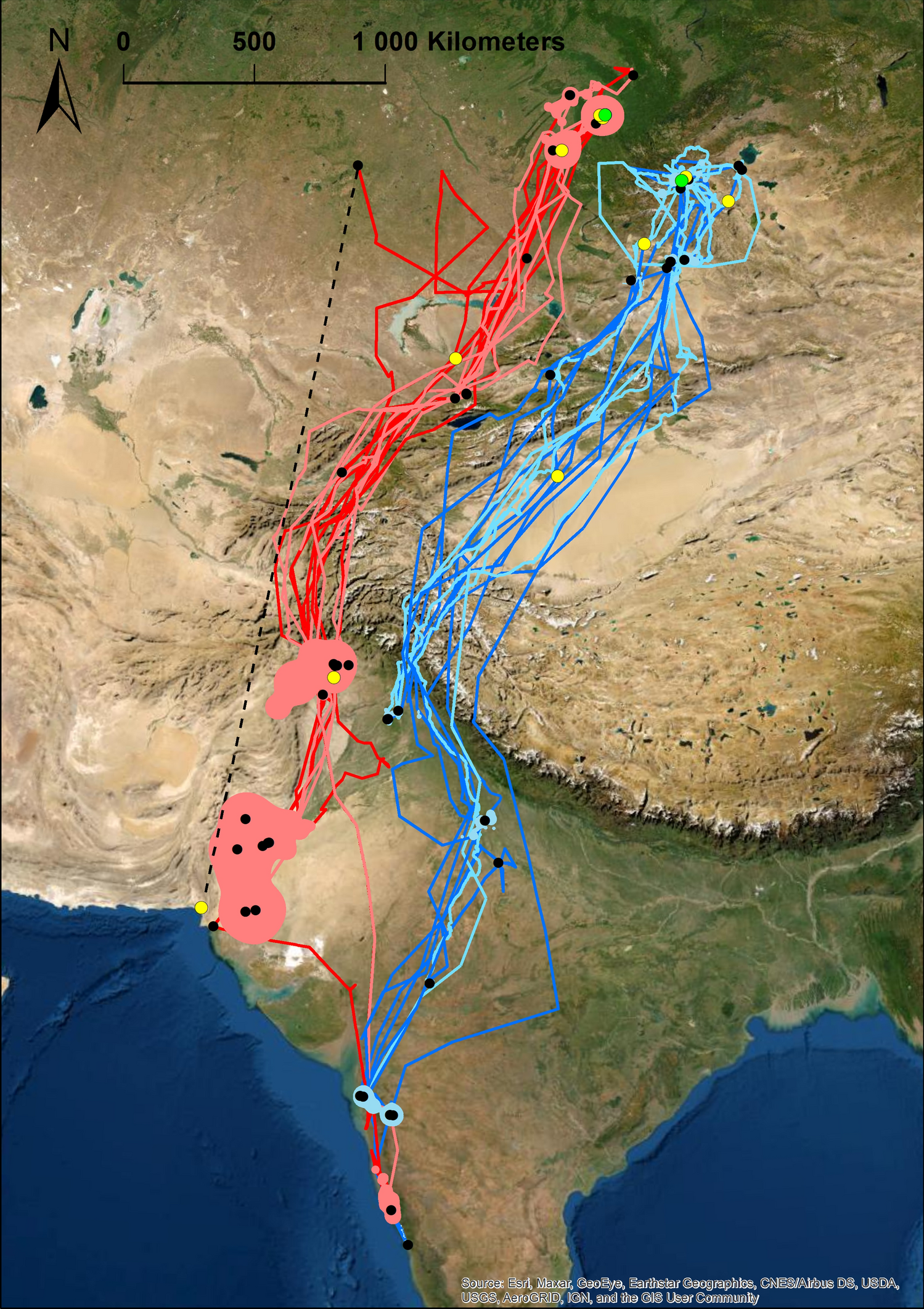 PDF) BIRDS OF PREY IN UKRAINE: THEIR STATUS AND DISTRIBUTION