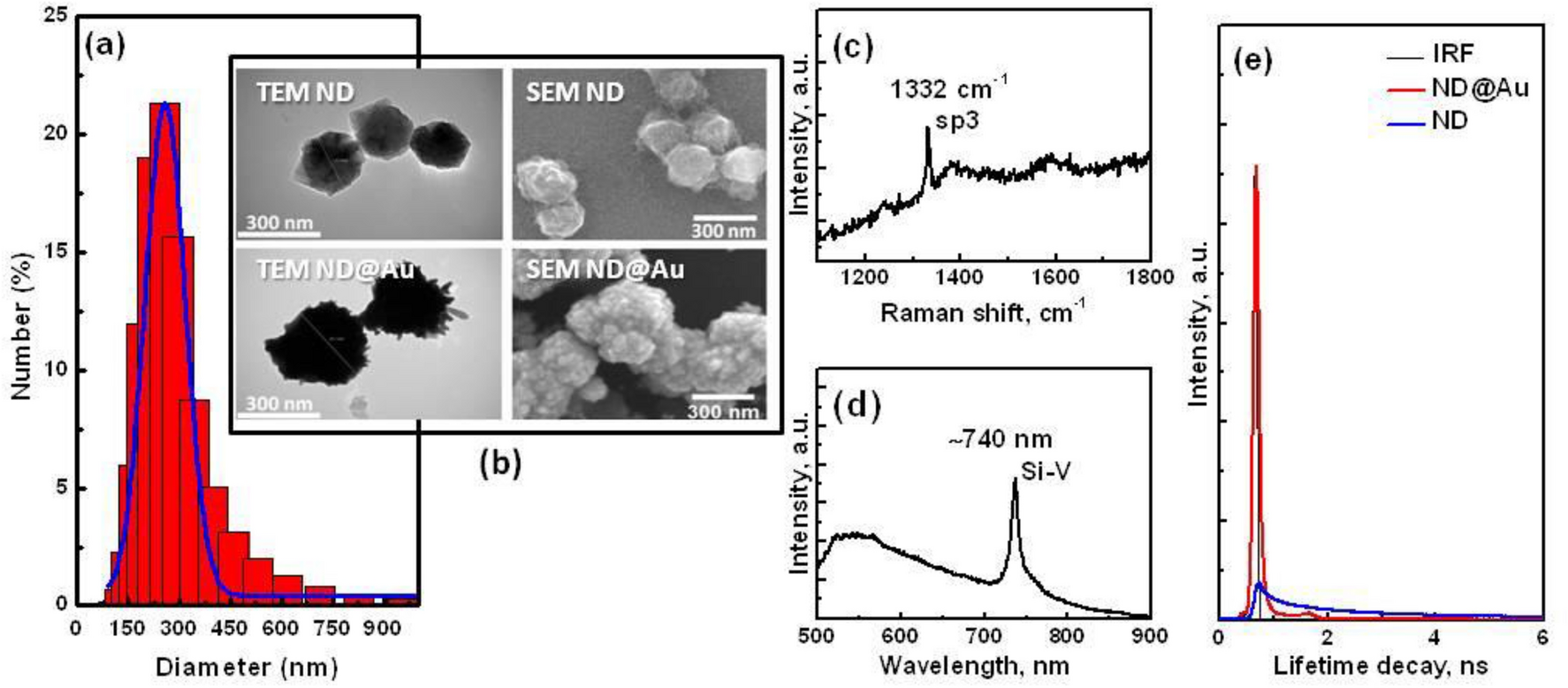 Multimodal bioimaging using nanodiamond and gold hybrid nanoparticles |  Scientific Reports