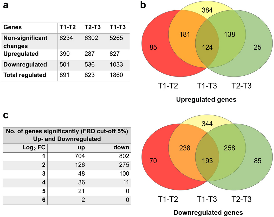 The transcriptome from asexual to sexual in vitro development of Cystoisospora suis (Apicomplexa Coccidia) Scientific Reports