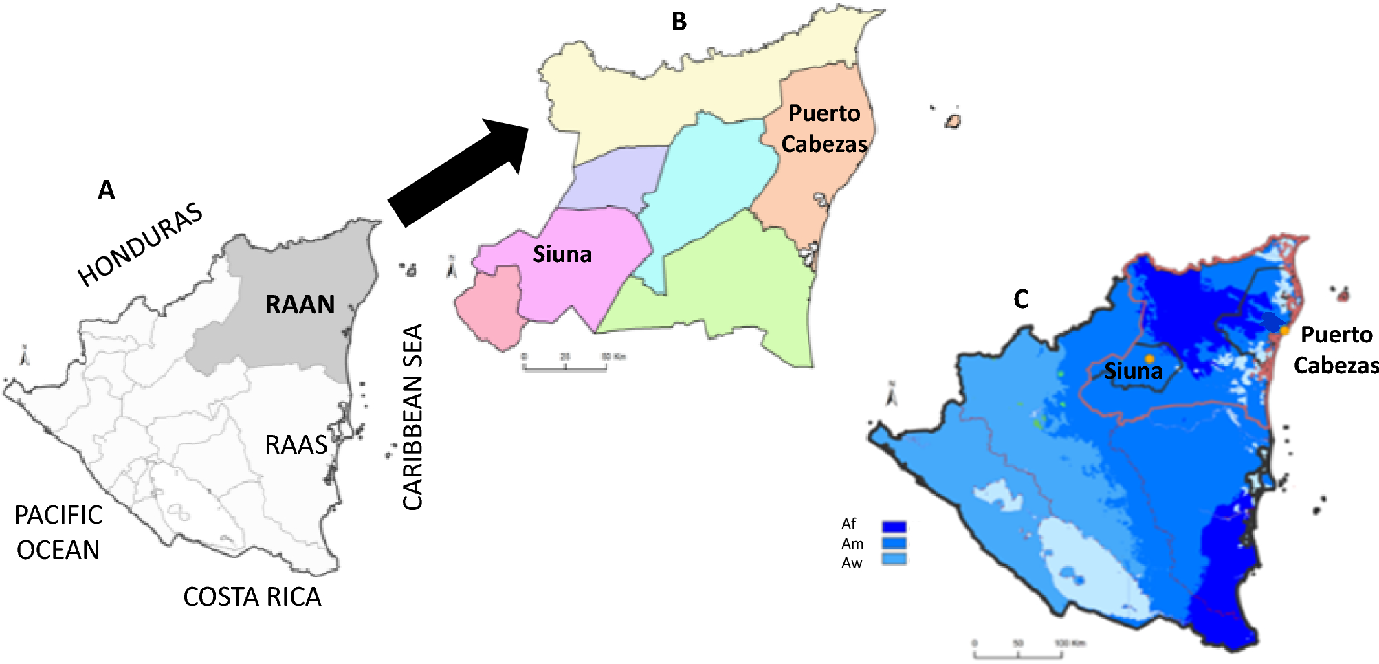 High intestinal parasite infection detected in children from Región  Autónoma Atlántico Norte (R.A.A.N.) of Nicaragua | Scientific Reports