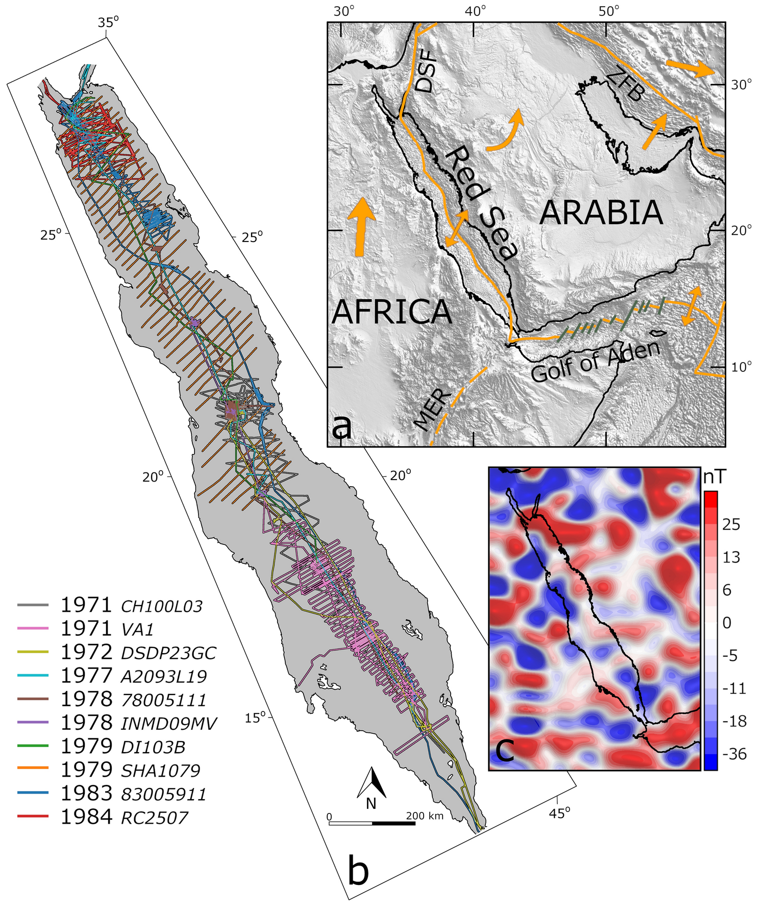 New magnetic anomaly map for the Red Sea reveals transtensional structures  associated with rotational rifting | Scientific Reports