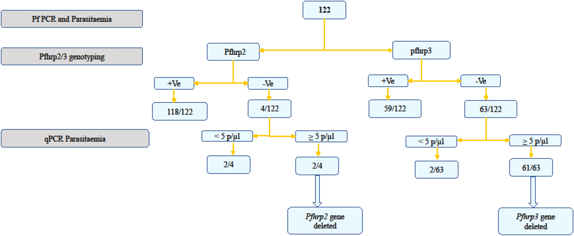 Deletions Of The Plasmodium Falciparum Histidine Rich Protein 2 3 Genes Are Common In Field Isolates From North Eastern Tanzania Scientific Reports