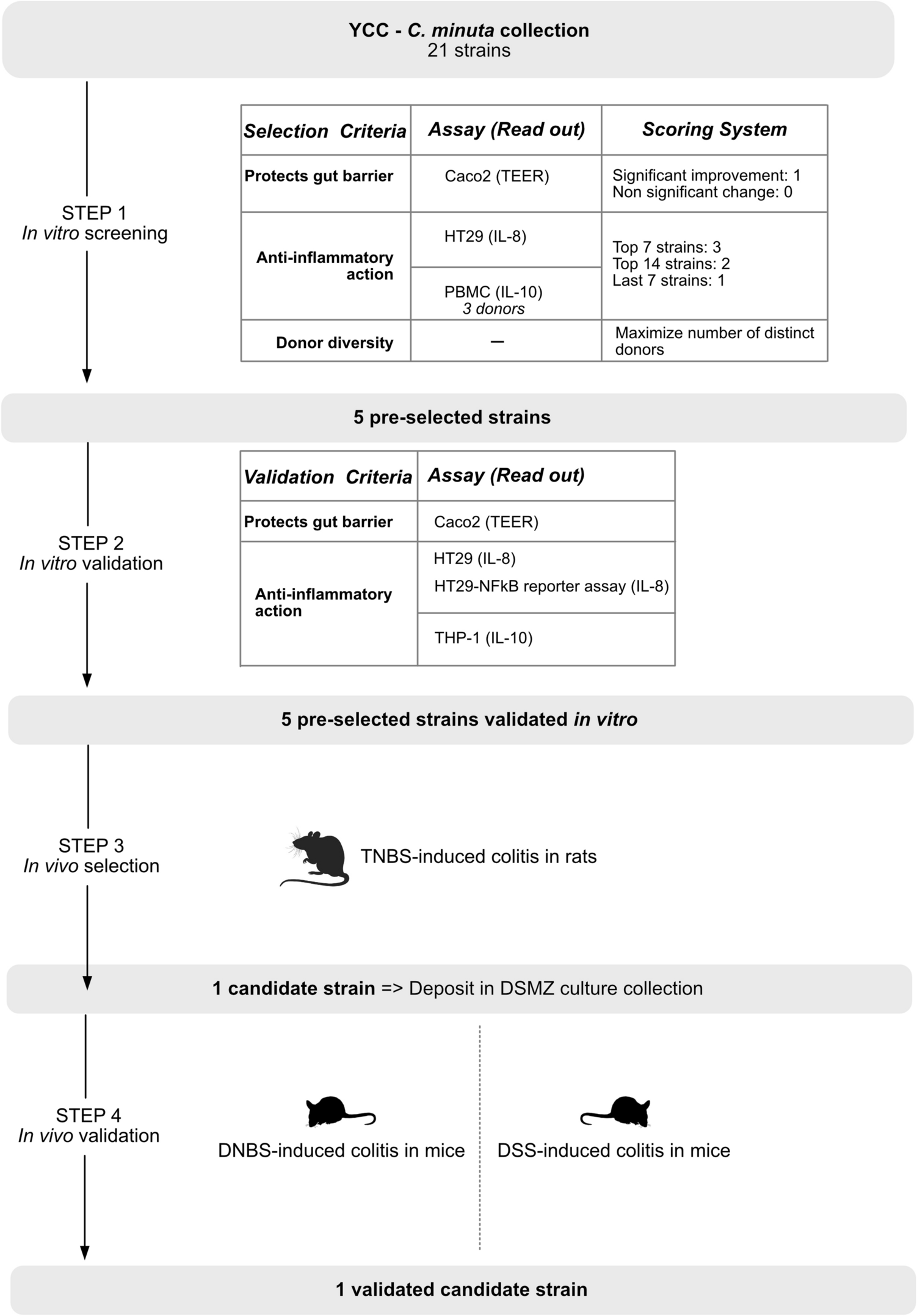 In vivo efficacy testing Clinisciences