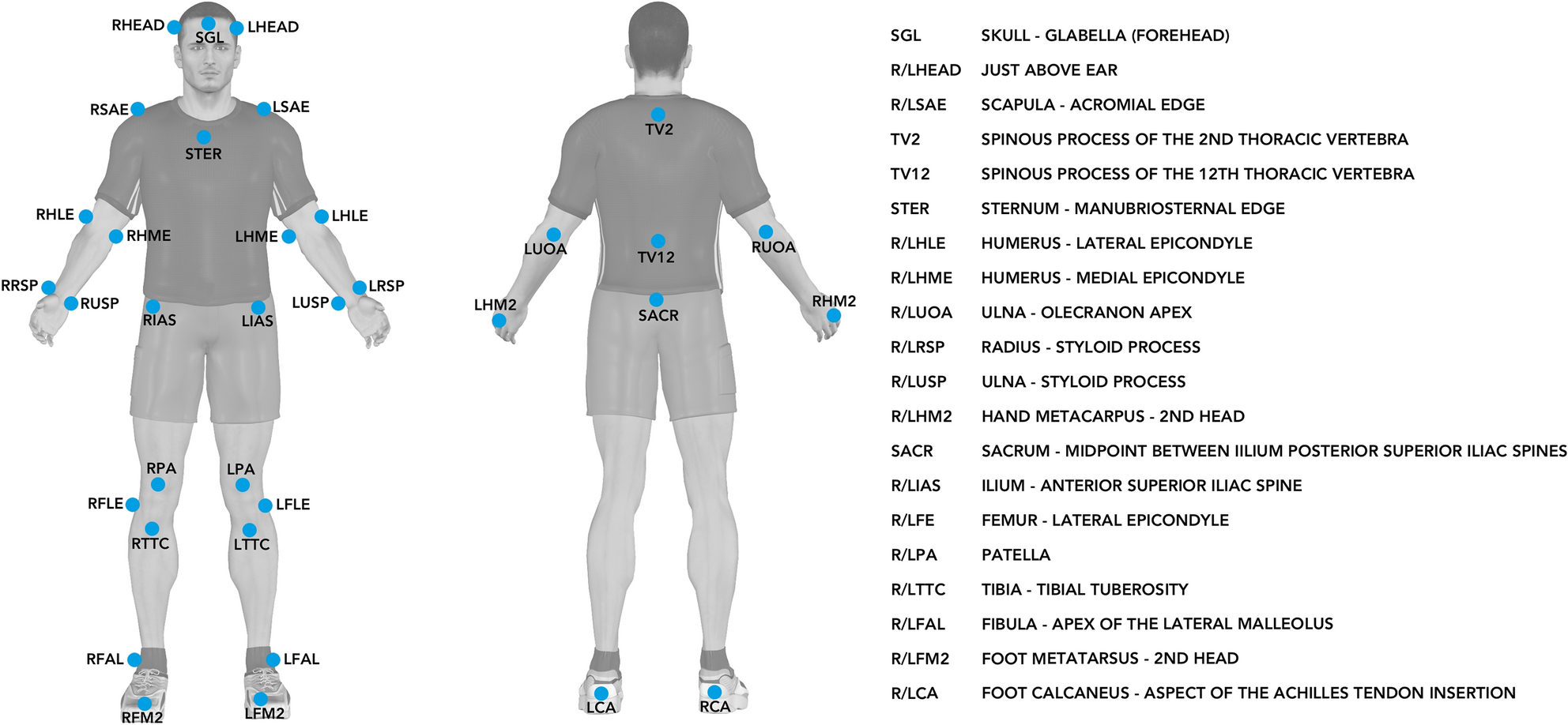 Non-South East Asians have a better running economy and different anthropometrics and biomechanics than South East Asians Scientific Reports