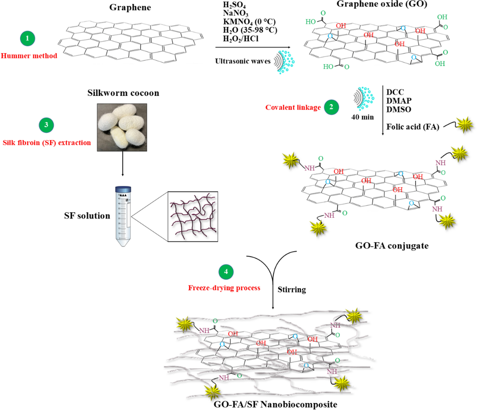 Functionalized graphene oxide nanosheets with folic acid and silk fibroin  as a novel nanobiocomposite for biomedical applications | Scientific Reports