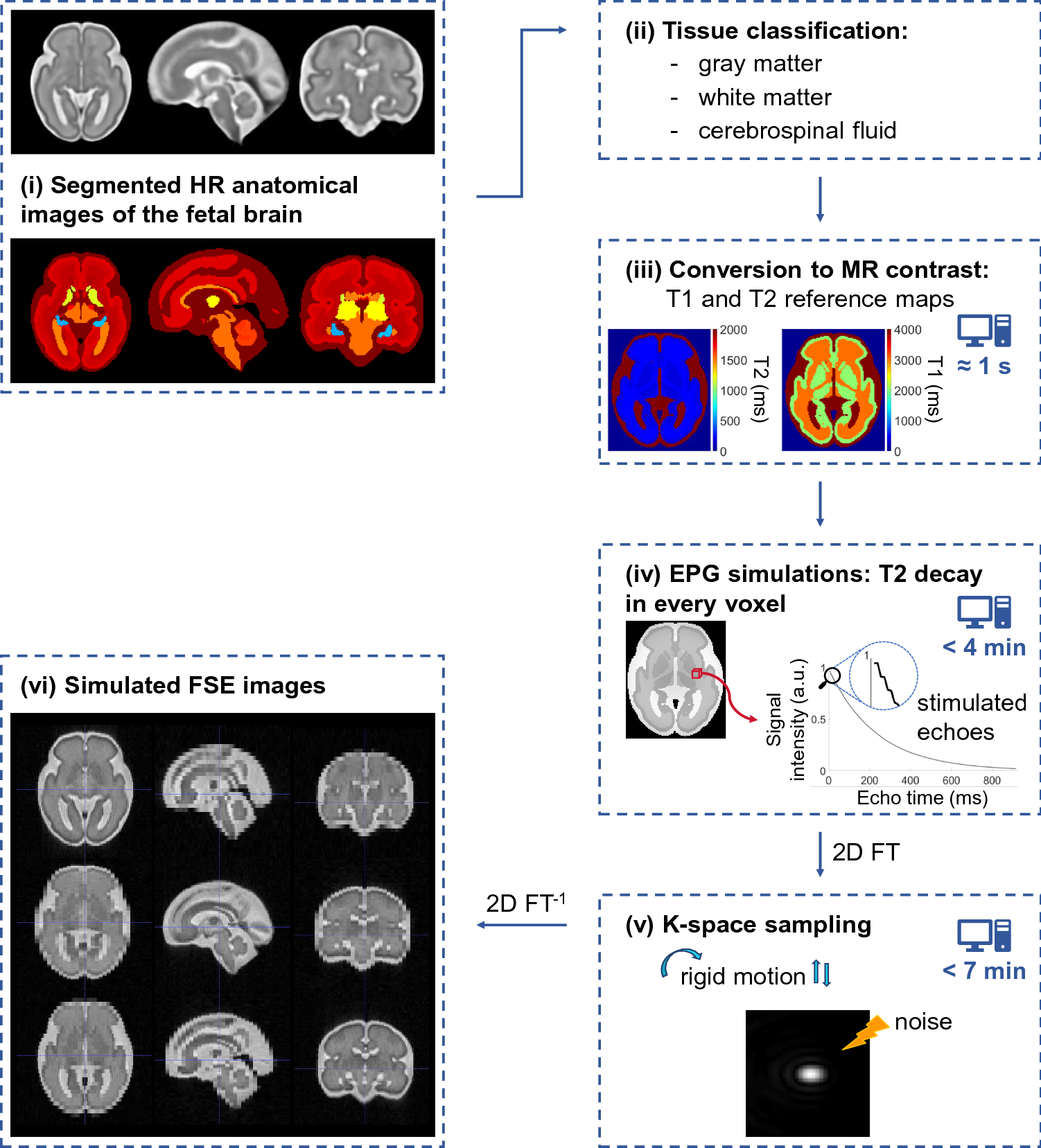 A Fetal Brain magnetic resonance Acquisition Numerical phantom (FaBiAN) |  Scientific Reports