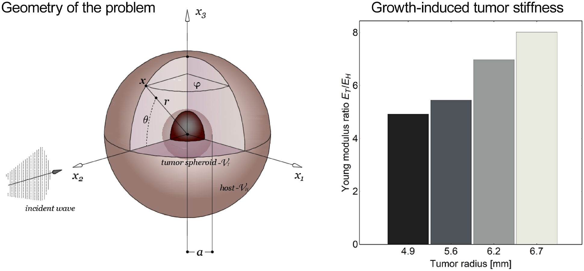 Ultrasound waves in tumors via needle irradiation for precise medicine |  Scientific Reports
