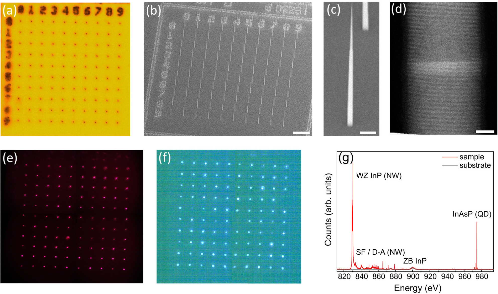 Unity yield of deterministically positioned quantum dot single photon  sources | Scientific Reports