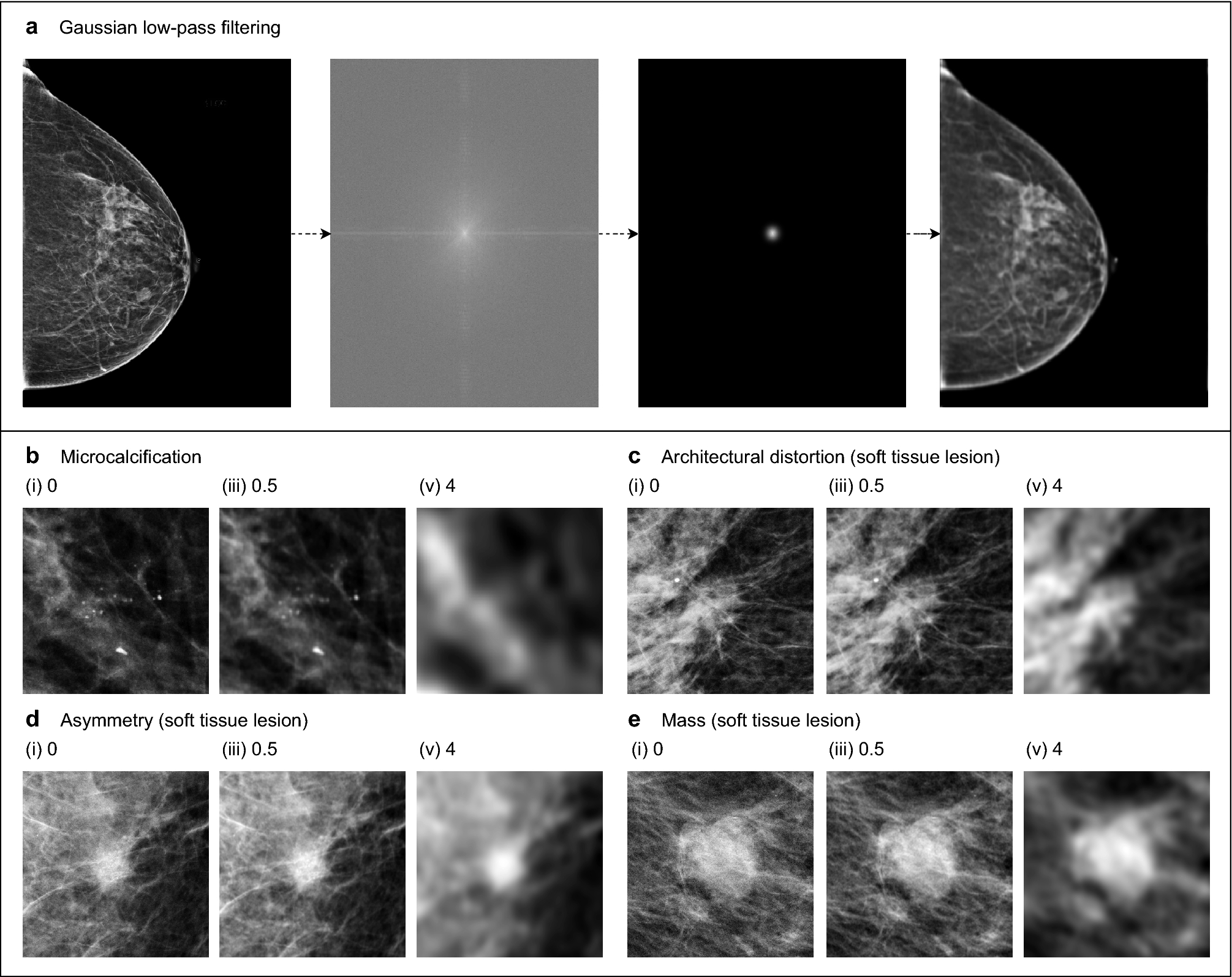 Differences between human and machine perception in medical diagnosis |  Scientific Reports