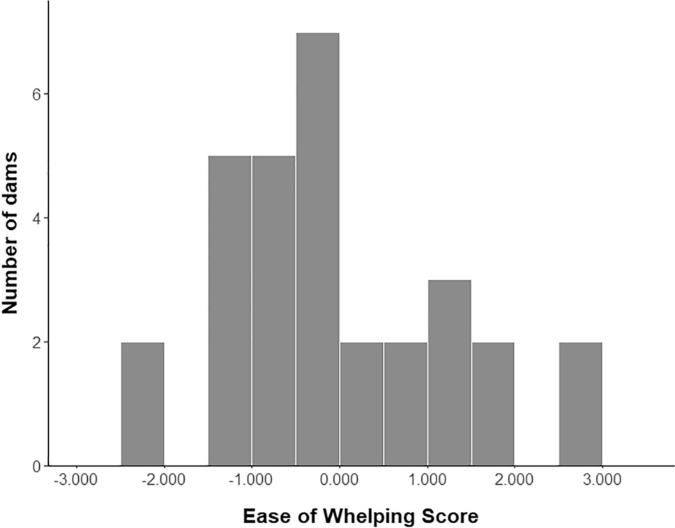 Social play scores in avoidant (n = 6) and secure (n = 32) dogs in