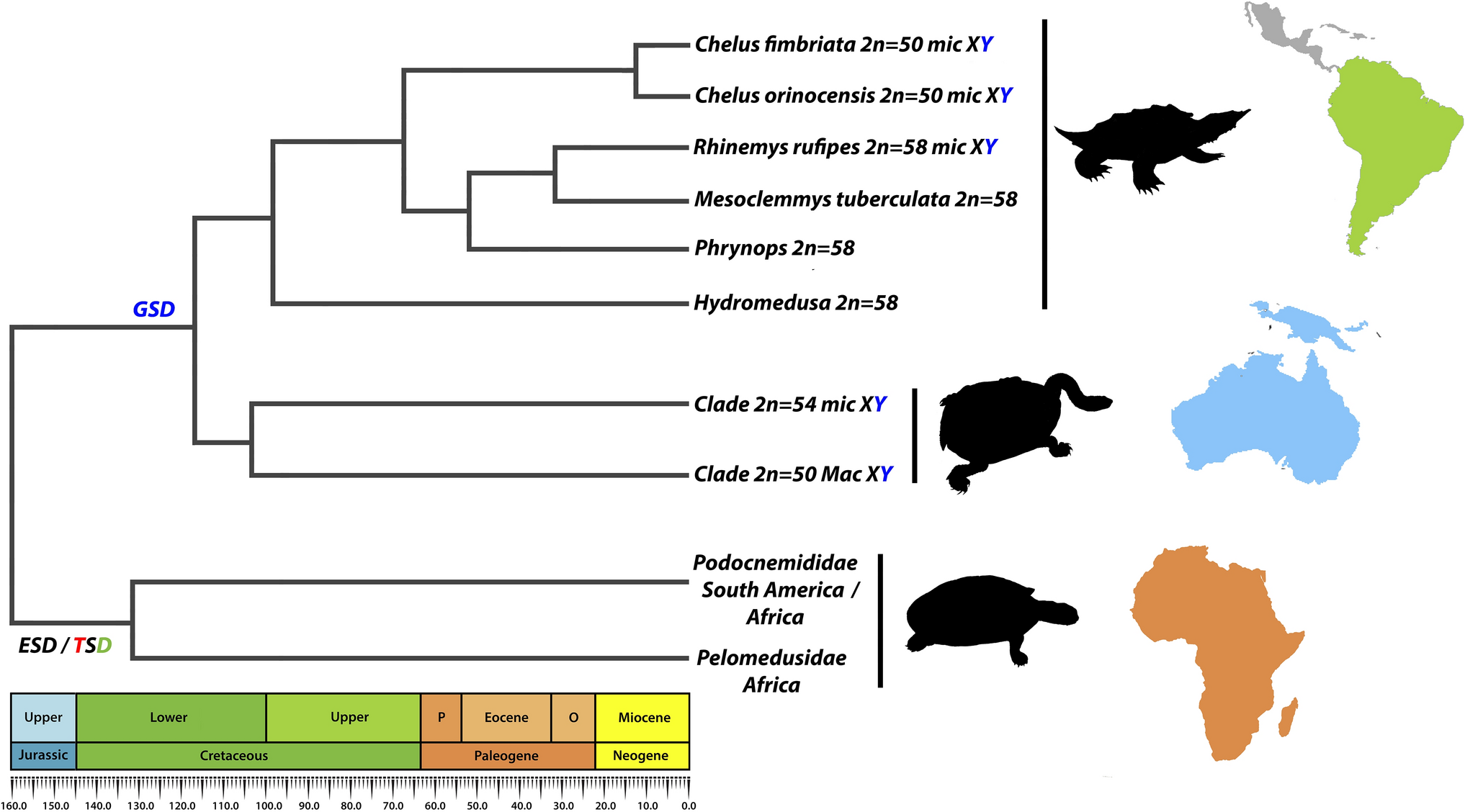 Figure 10