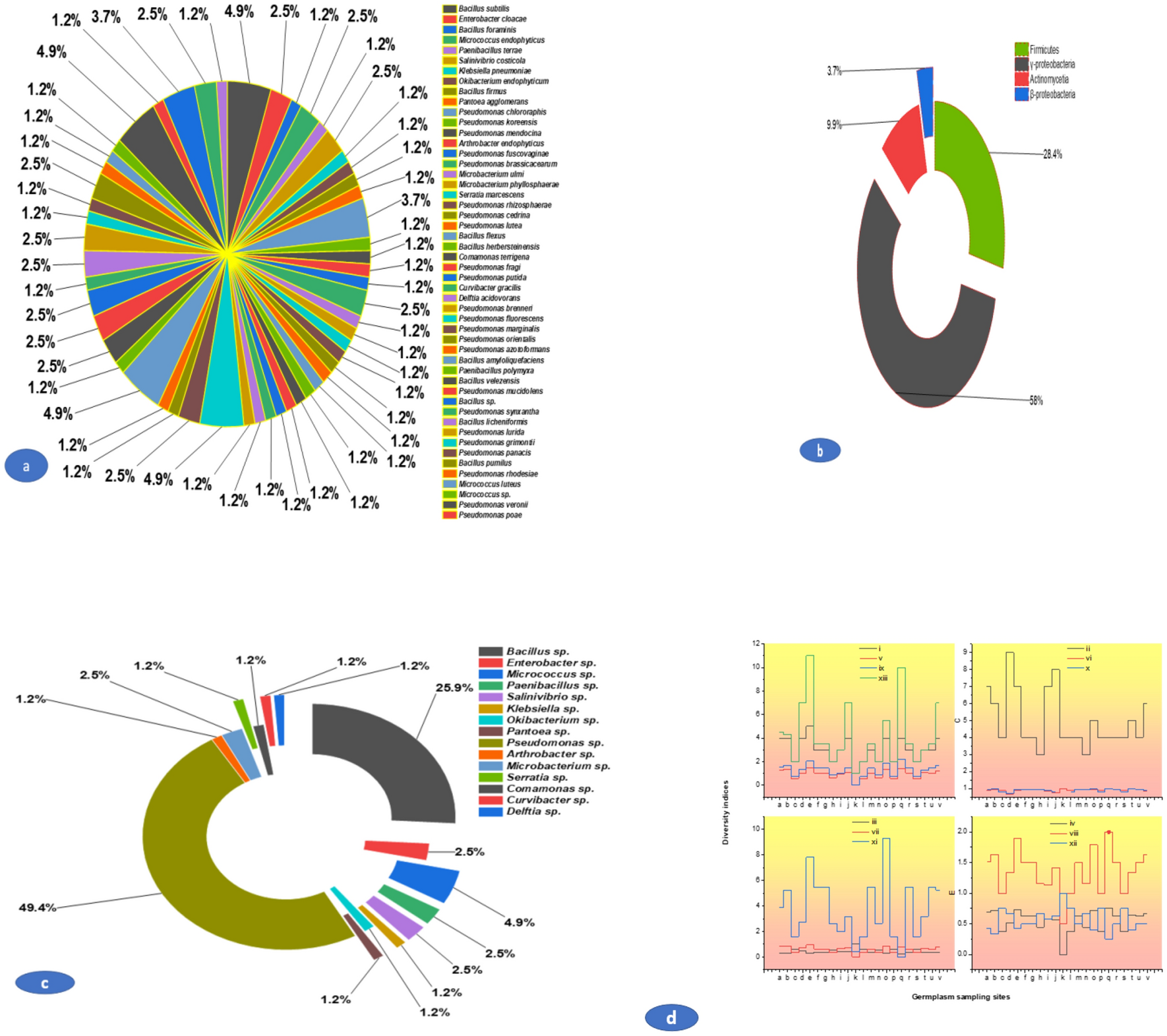 Dynamics Phylogeny And Phyto Stimulating Potential Of Chitinase Synthesizing Bacterial Root Endosymbiosiome Of North Western Himalayan Brassica Rapa L Scientific Reports