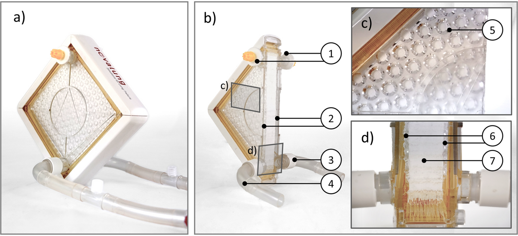 TPMS-based membrane lung with locally-modified permeabilities for optimal  flow distribution | Scientific Reports