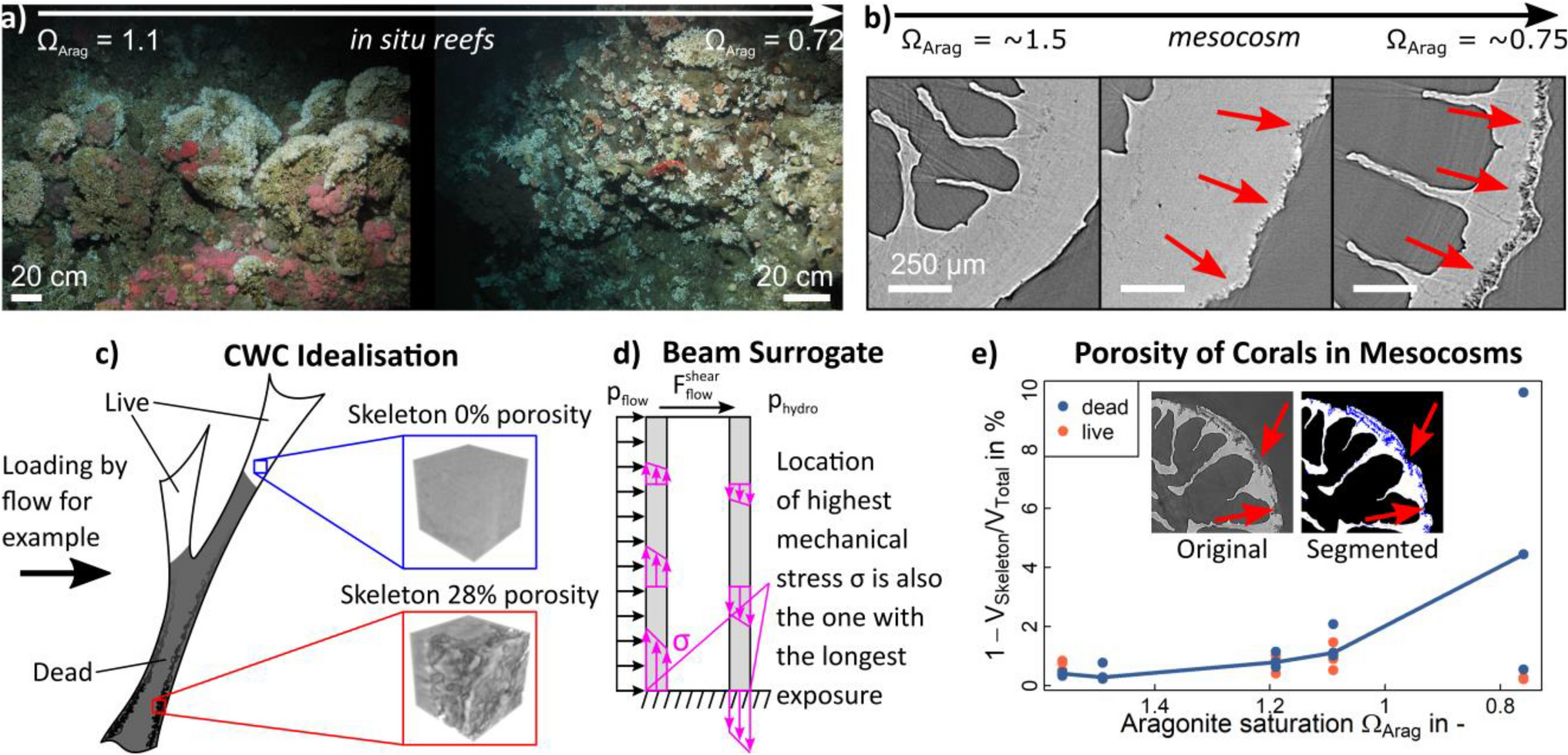 MOD in the Gulf Stream — MULTISCALE OCEAN DYNAMICS