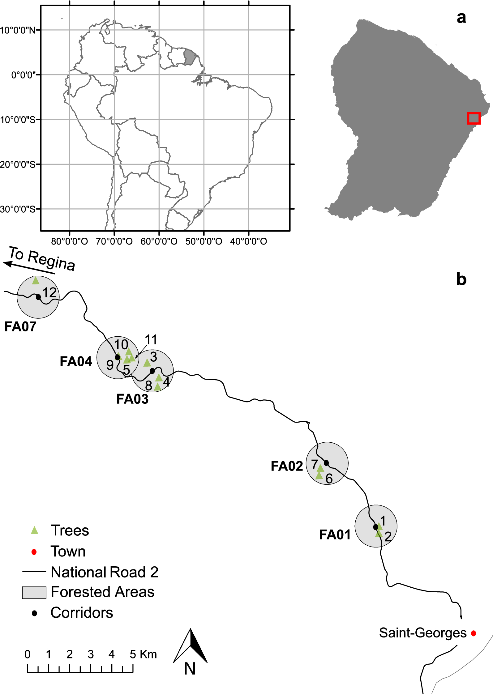 Arboreal camera trap reveals the frequent occurrence of a  frugivore-carnivore in neotropical nutmeg trees | Scientific Reports