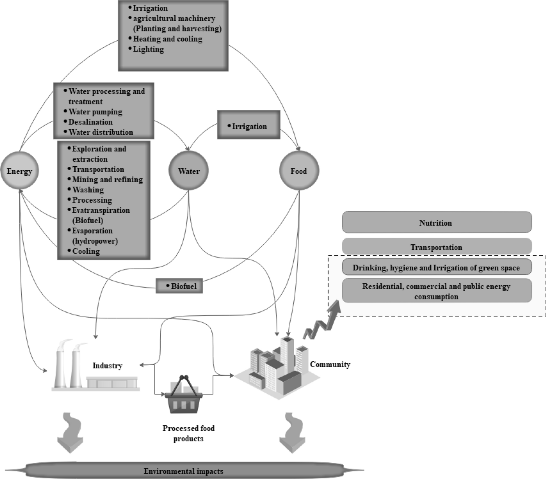 Mineral Resources: From Exploration to Sustainability Assessment (Springer  Textbooks in Earth Sciences, Geography and Environment)