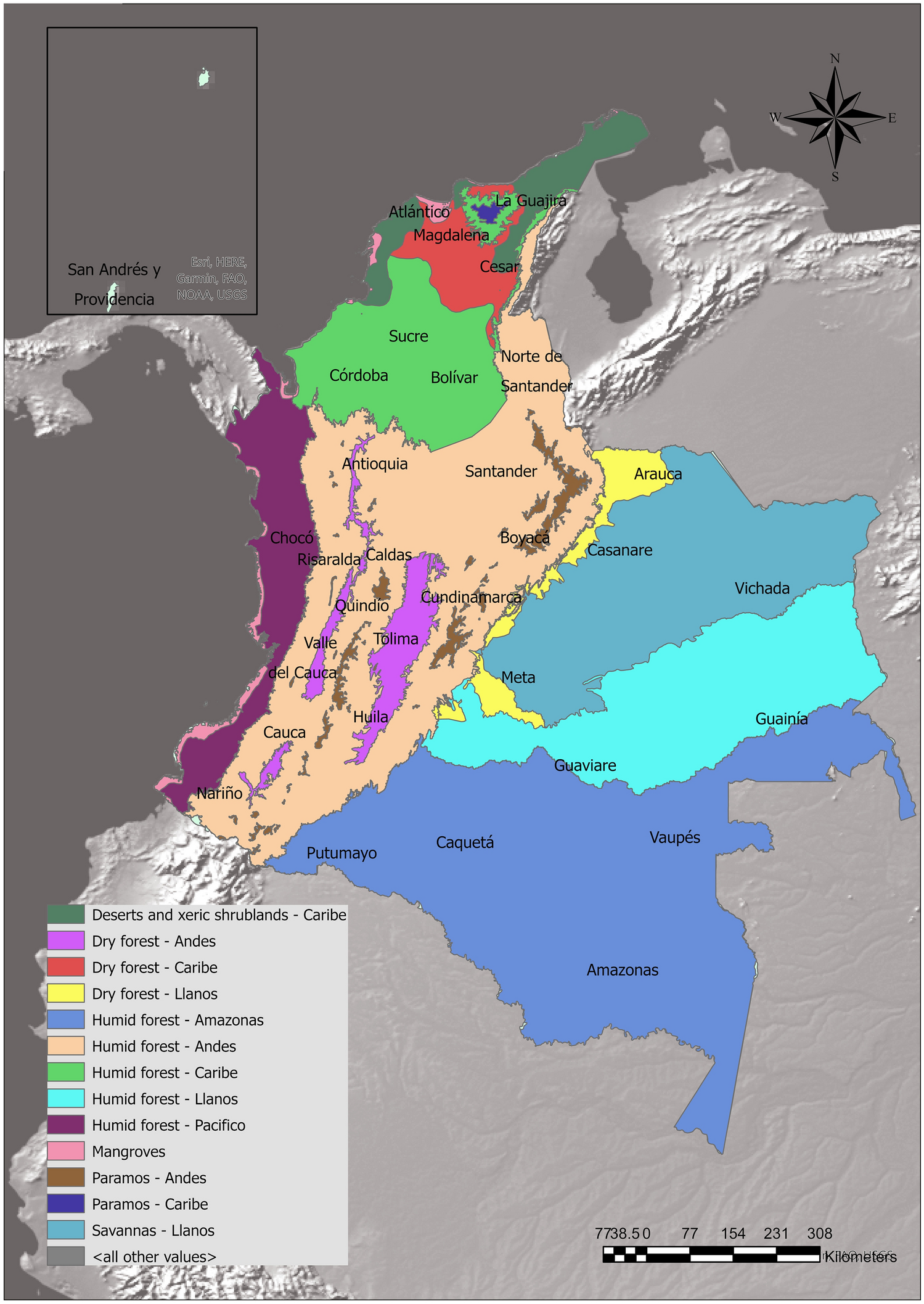 The global biogeography of tree leaf form and habit