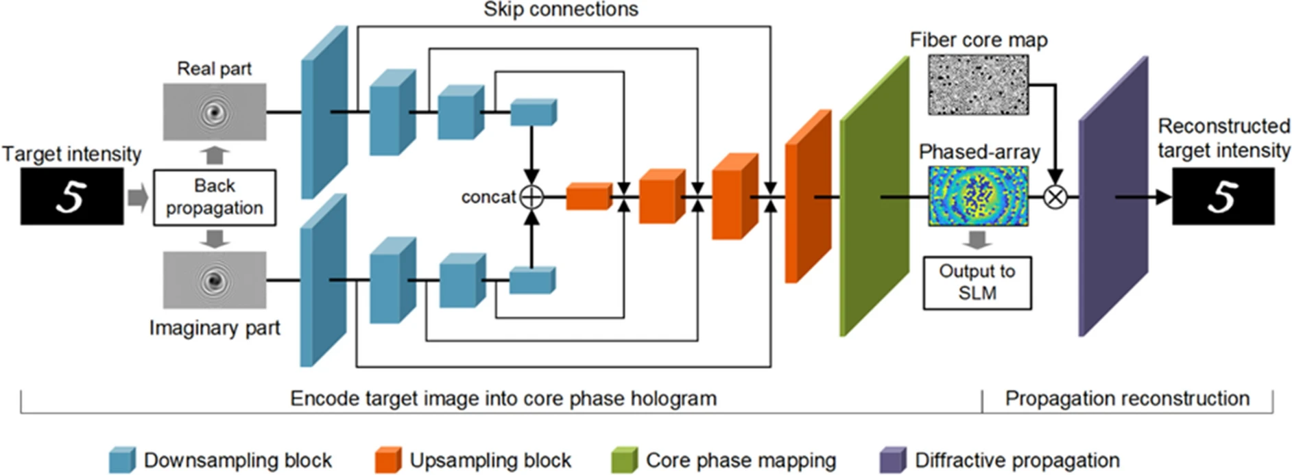 Structure of the phase encoder deep neural network (CoreNet)