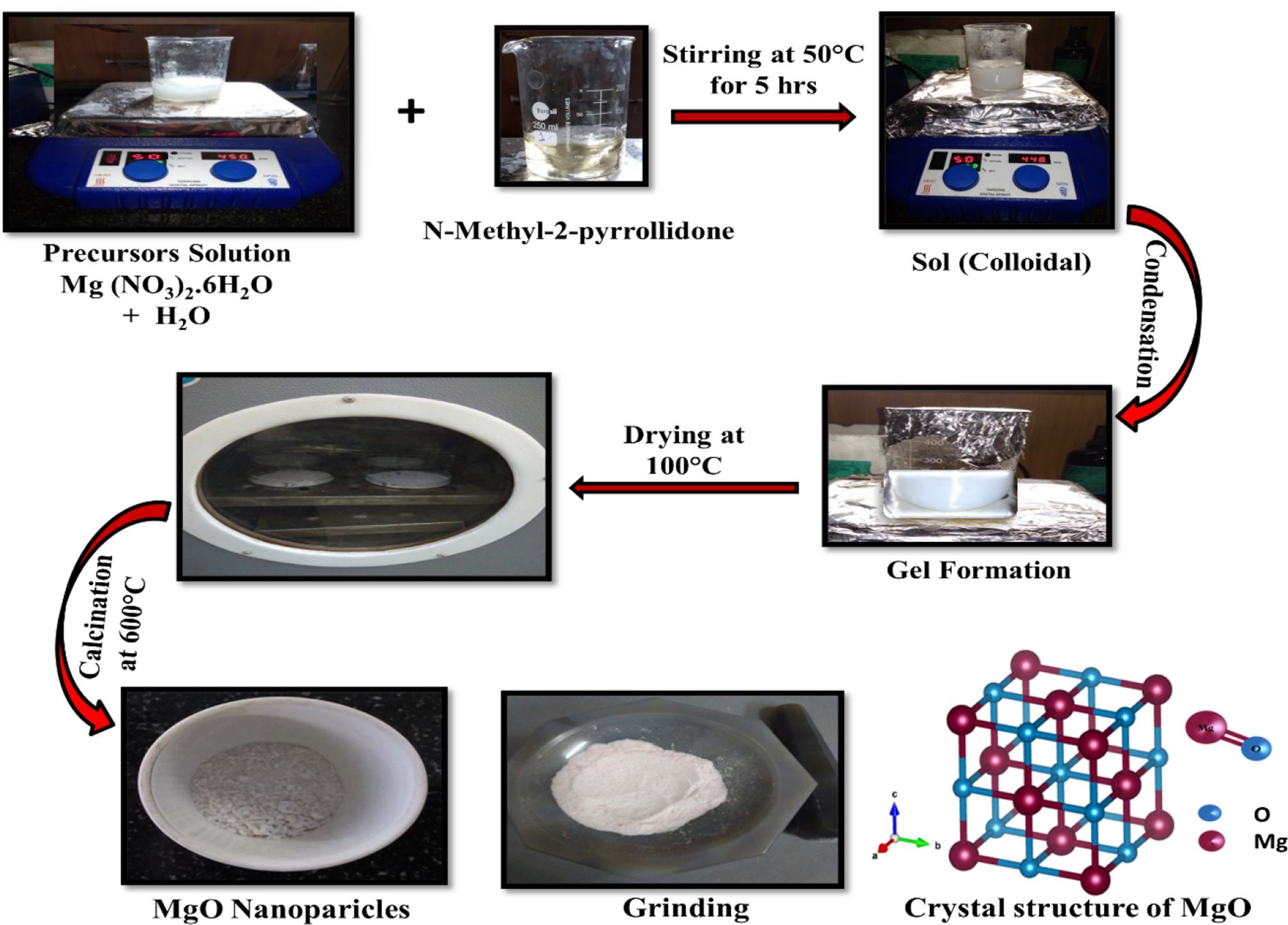 Probing the effect of Ni, Co and Fe doping concentrations on the  antibacterial behaviors of MgO nanoparticles | Scientific Reports