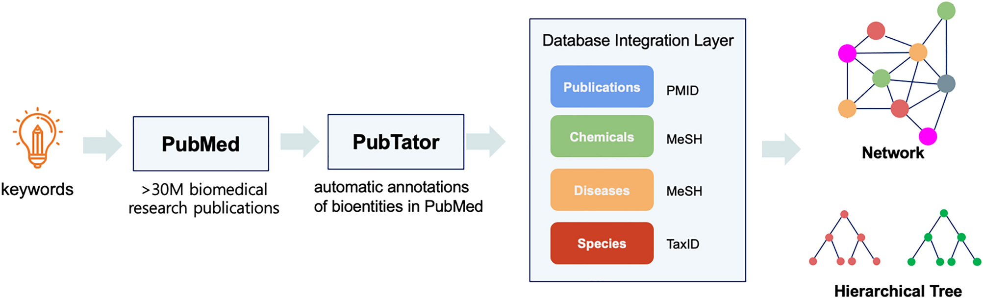 Hierarchical network analysis of co-occurring bioentities in literature |  Scientific Reports