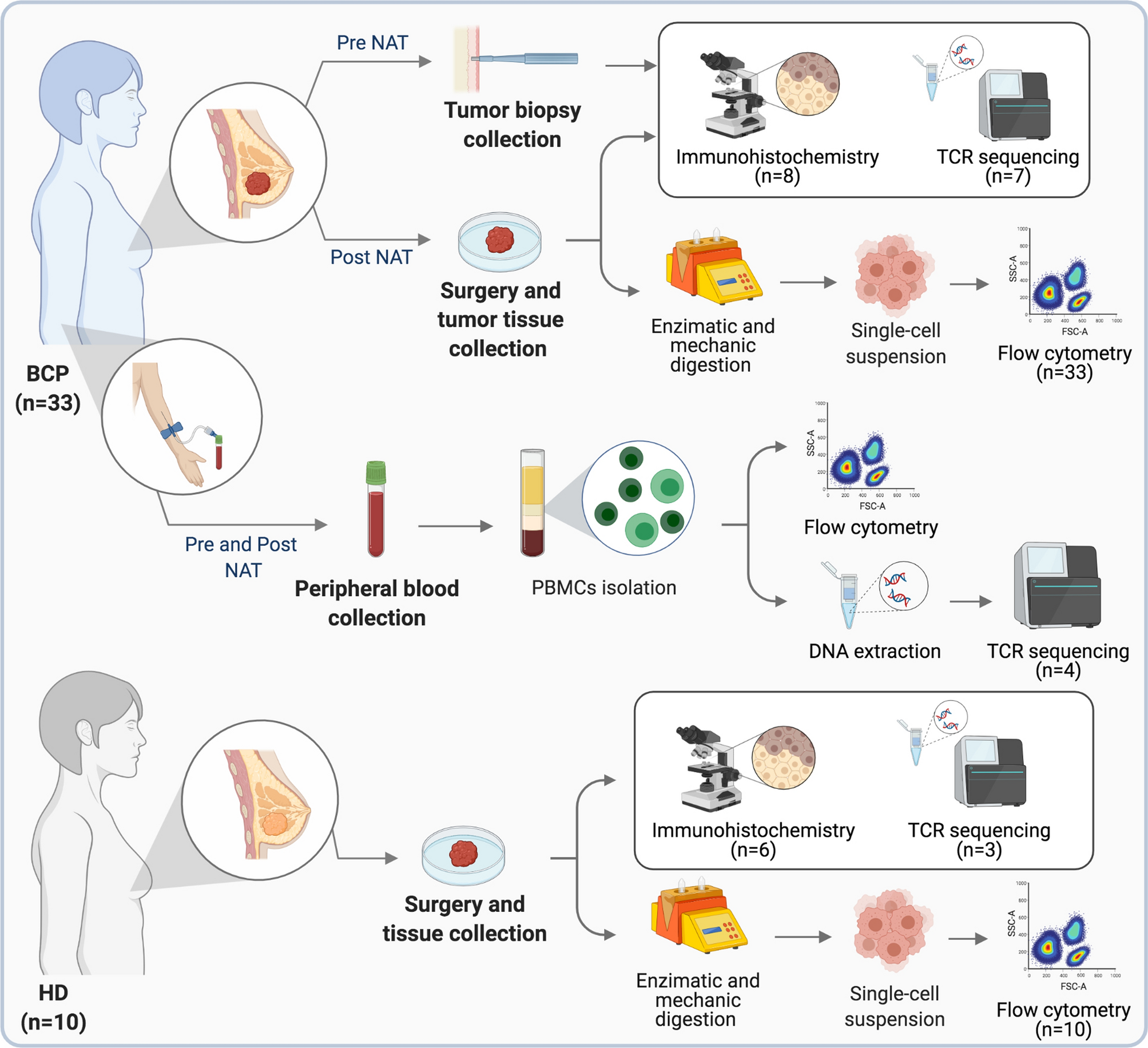 The breast cancer immune microenvironment is modified by neoadjuvant chemotherapy | Scientific Reports the-breast-cancer-immune-microenvironment-is-modified-by-neoadjuvant-chemotherapy-scientific-reports