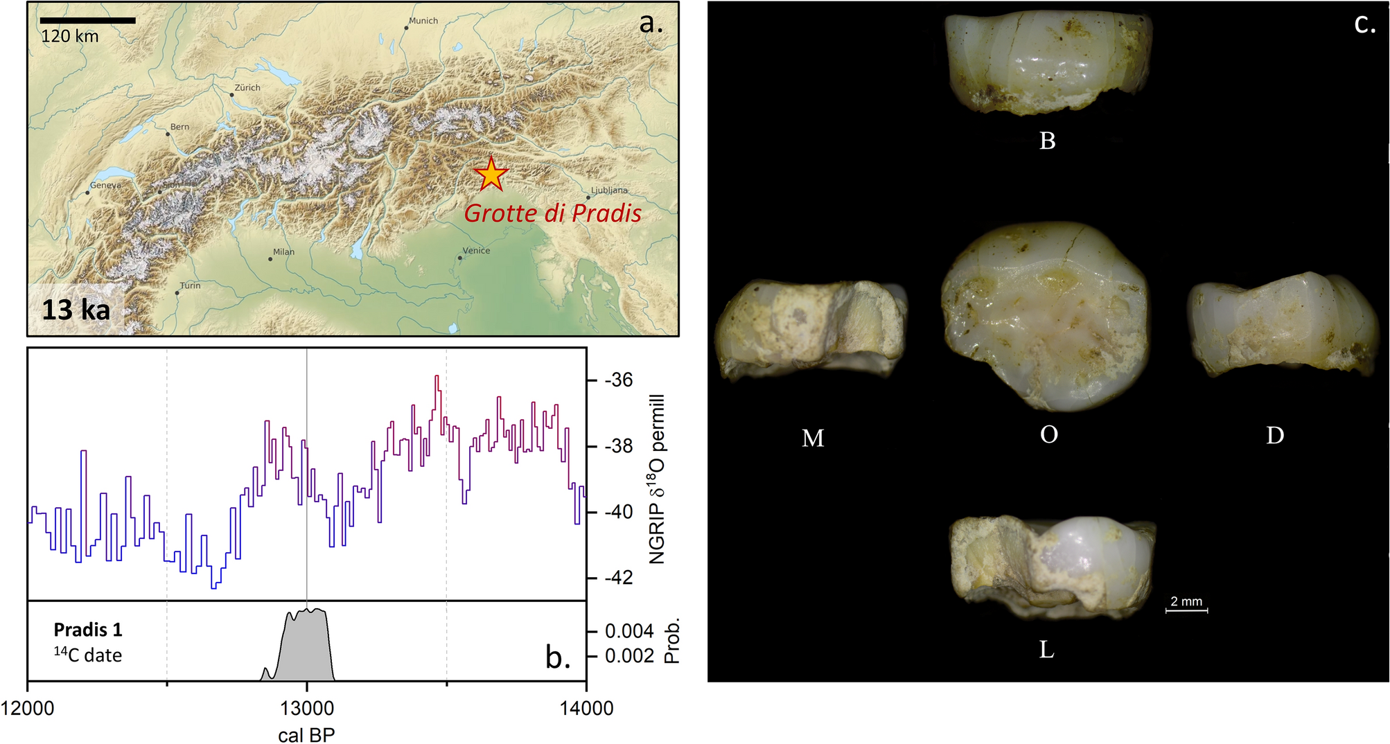Tracing the mobility of a Late Epigravettian (~ 13 ka) male infant from  Grotte di Pradis (Northeastern Italian Prealps) at high-temporal resolution  | Scientific Reports