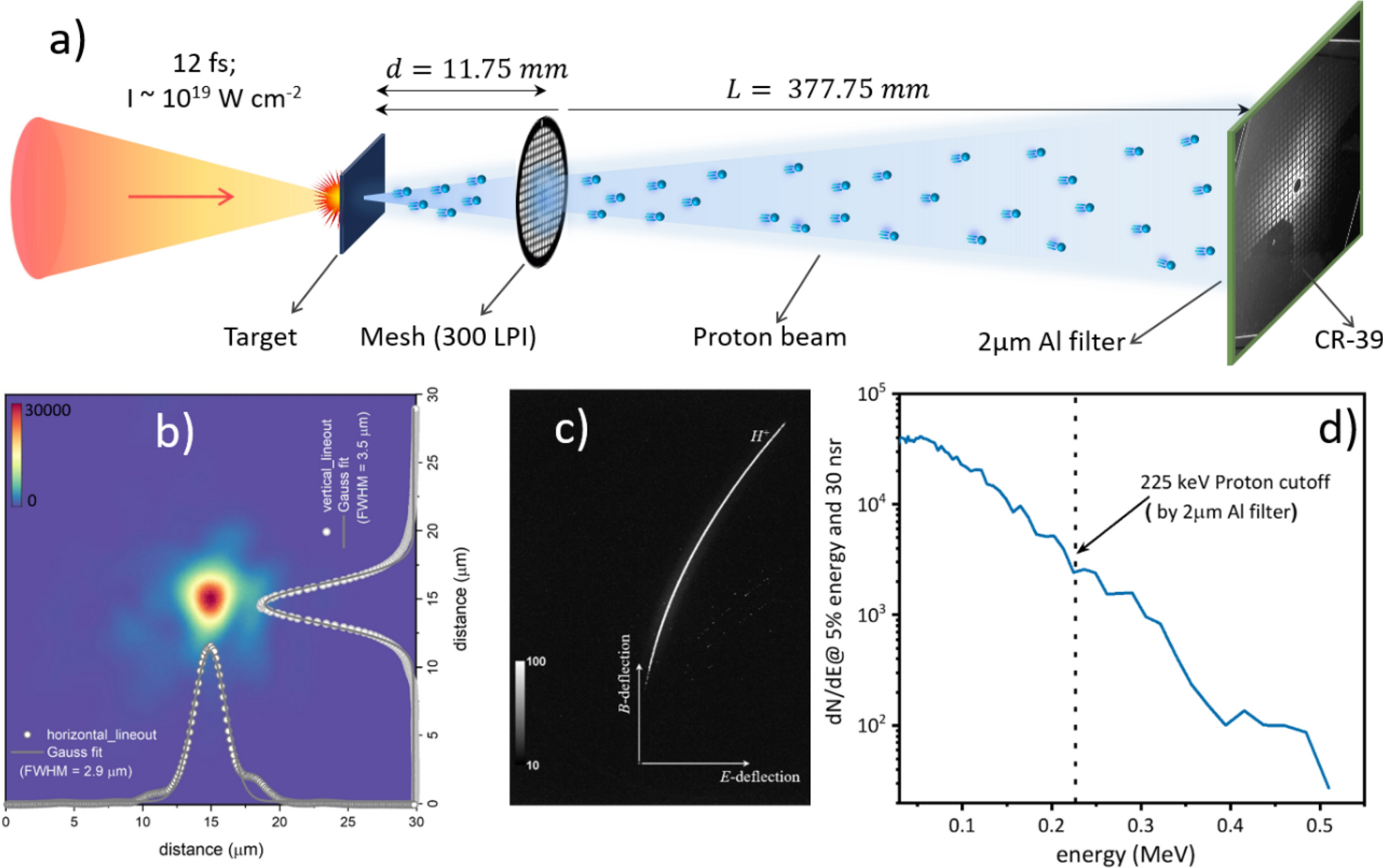 Low divergent MeV-class proton beam with micrometer source size driven by a  few-cycle laser pulse | Scientific Reports