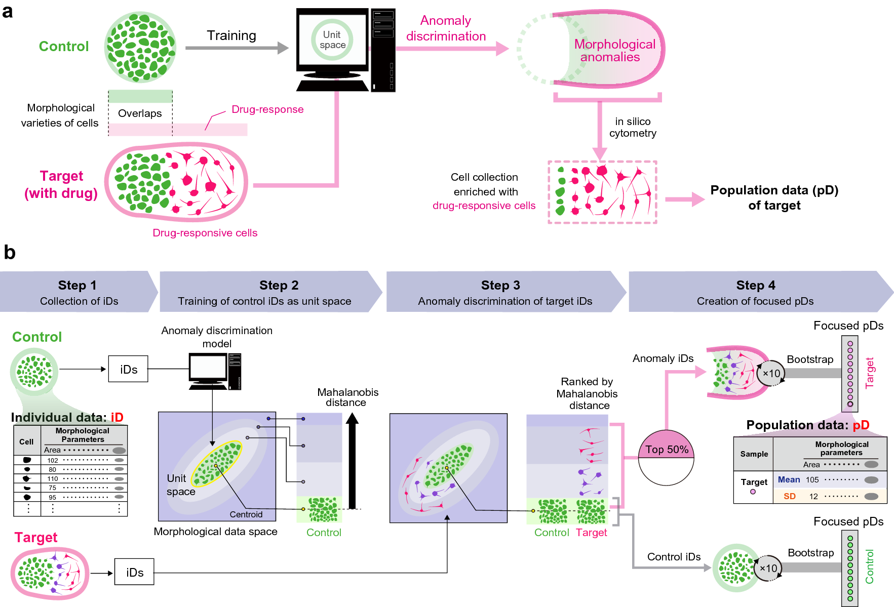 Label-free morphological sub-population cytometry for sensitive phenotypic  screening of heterogenous neural disease model cells | Scientific Reports