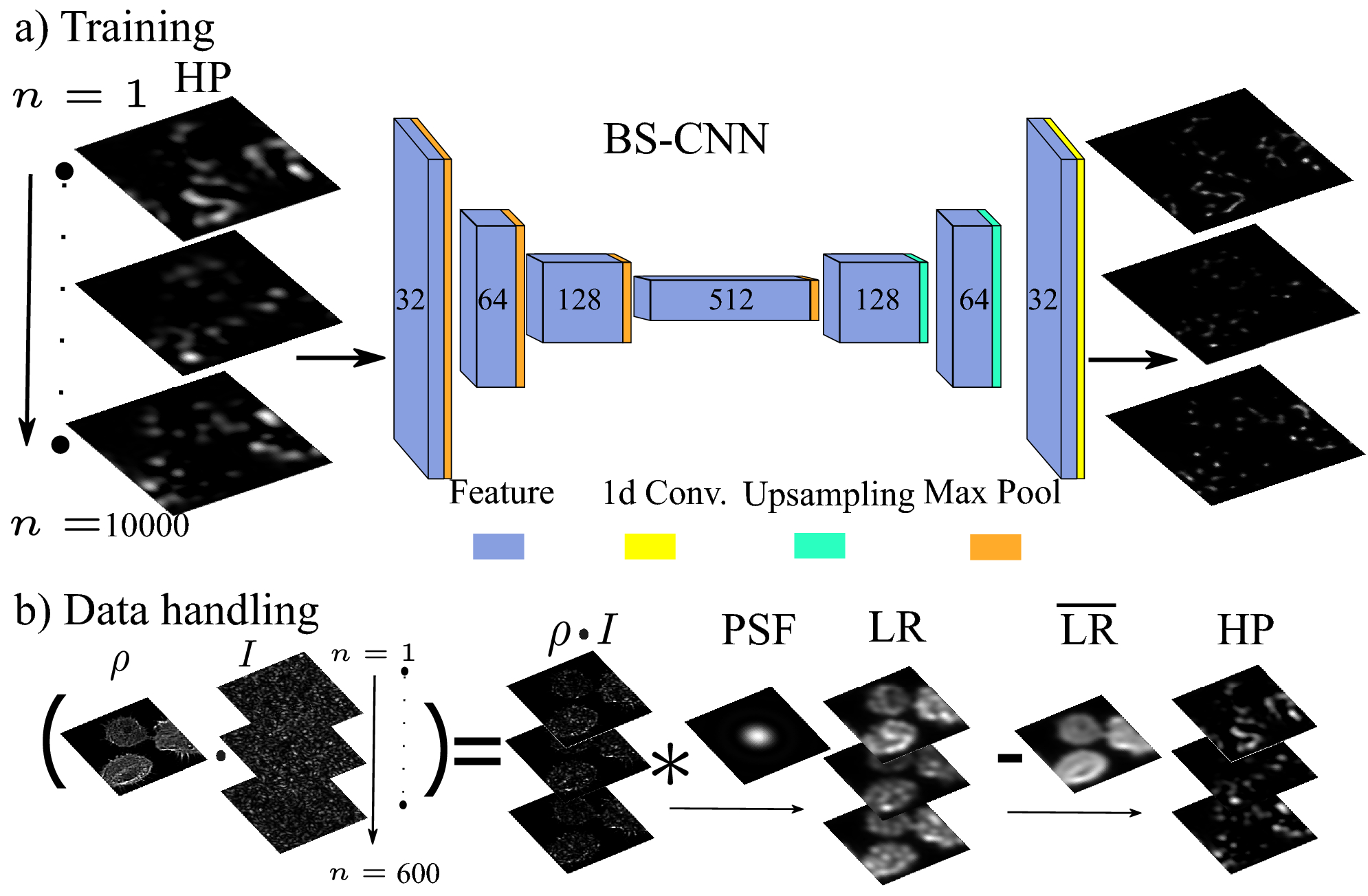 Deep learning for blind structured illumination microscopy | Scientific  Reports