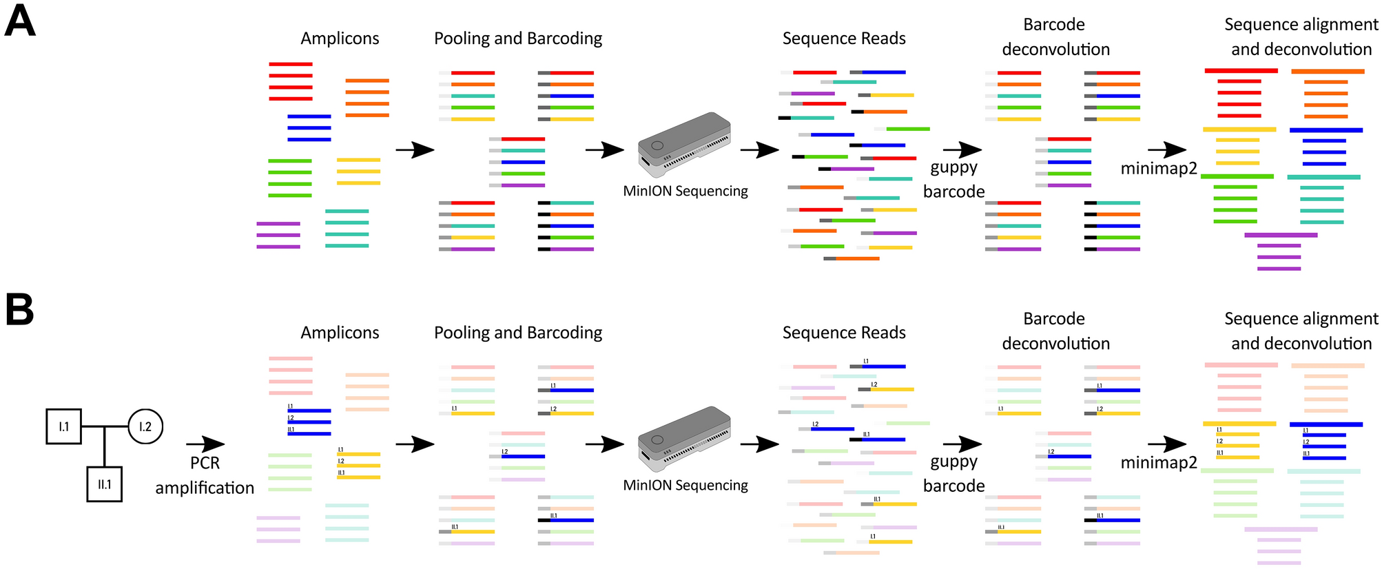 Maestro borroso Prima Proof of concept for multiplex amplicon sequencing for mutation  identification using the MinION nanopore sequencer | Scientific Reports