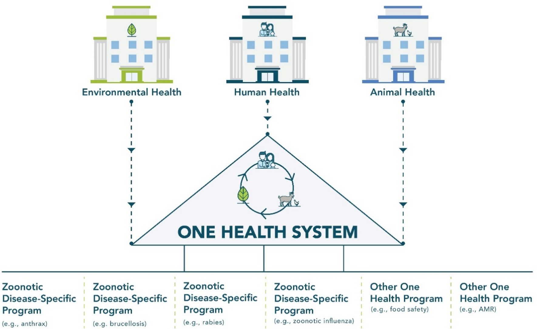 A generalizable one health framework for the control of zoonotic diseases |  Scientific Reports