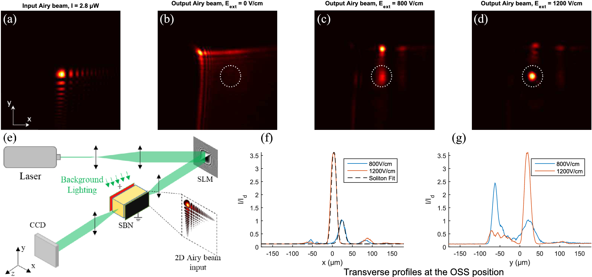 Two dimensional Airy beam soliton | Scientific Reports