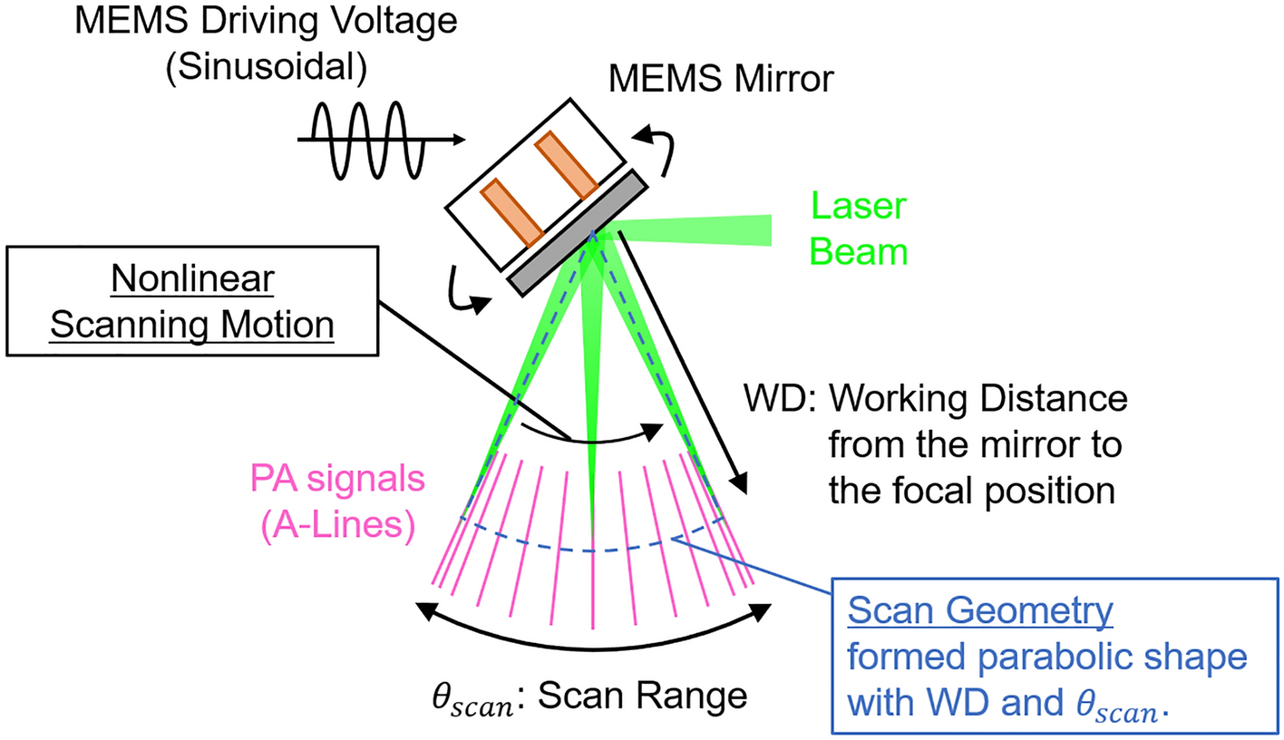 High-speed optical resolution photoacoustic microscopy with MEMS scanner  using a novel and simple distortion correction method | Scientific Reports