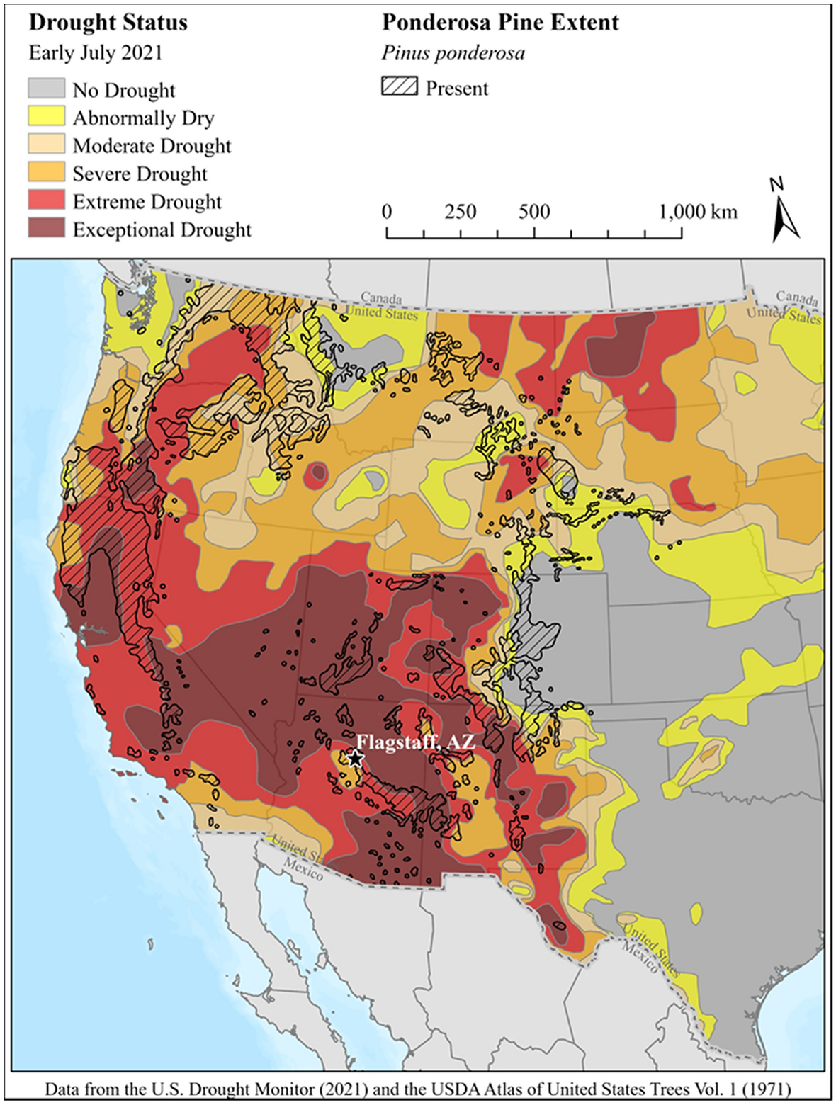 Thinning increases forest resiliency during unprecedented drought |  Scientific Reports