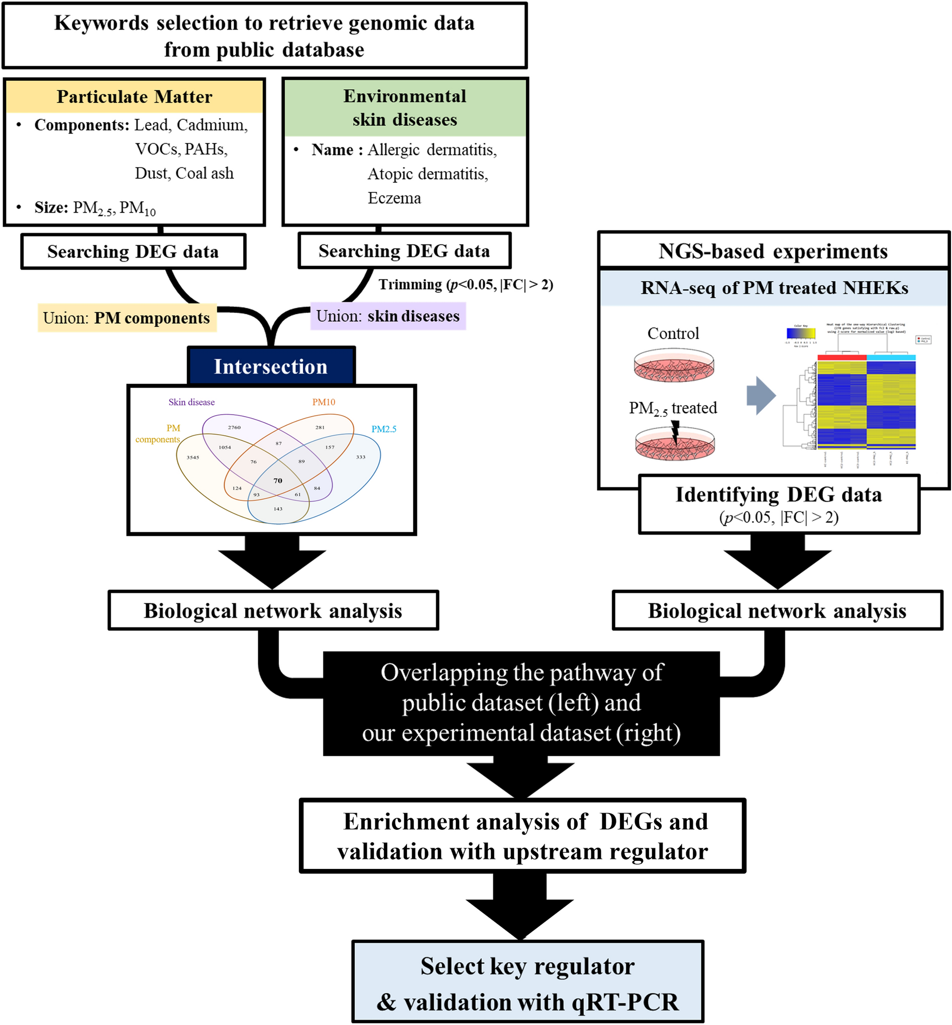 Integrative analysis to explore the biological association between  environmental skin diseases and ambient particulate matter | Scientific  Reports
