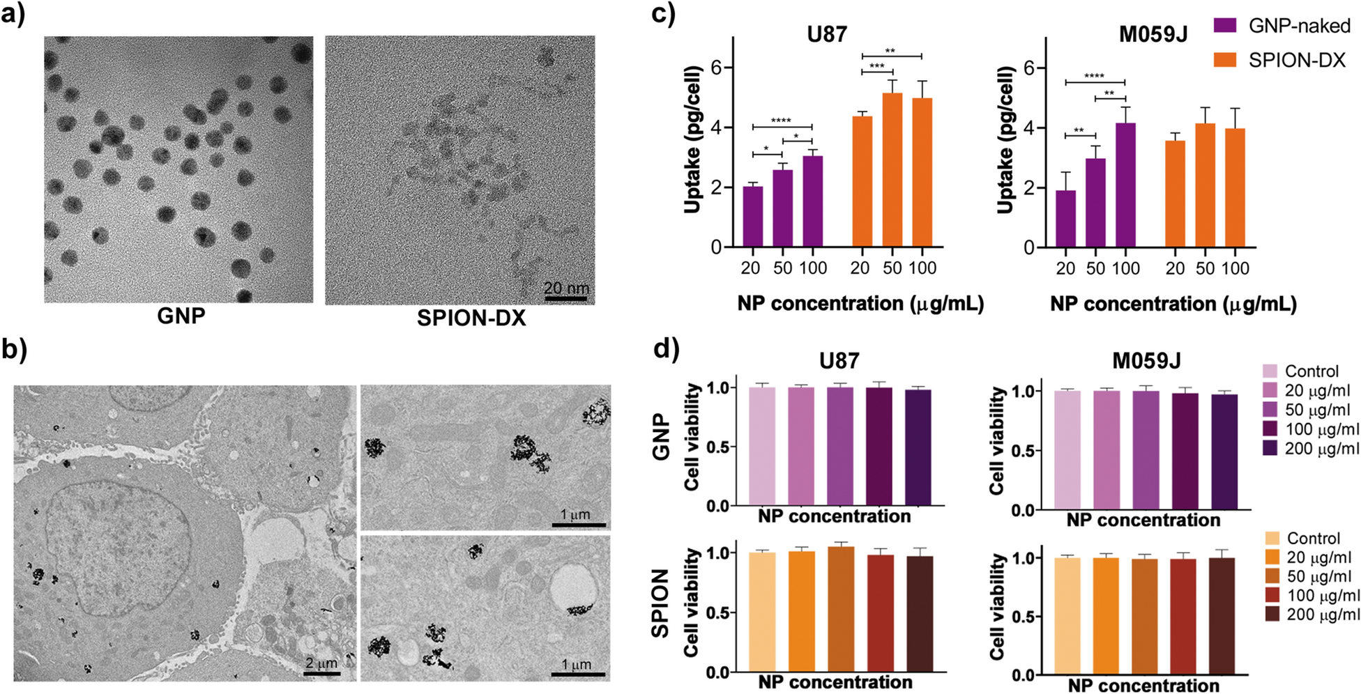 Intercomparison Of Radiosensitization Induced By Gold And Iron Oxide Nanoparticles In Human Glioblastoma Cells Irradiated By 6 Mv Photons Scientific Reports