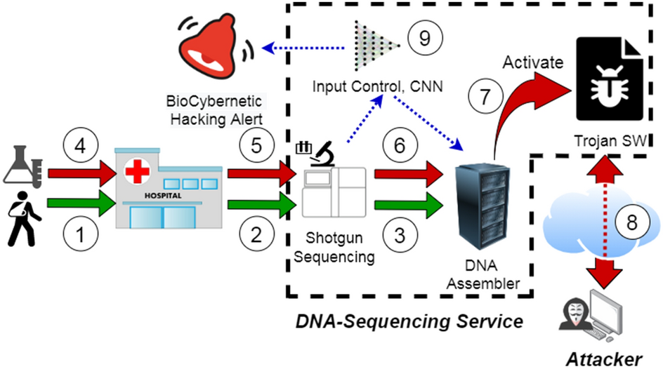 Using deep learning to detect digitally encoded DNA trigger for Trojan  malware in Bio-Cyber attacks | Scientific Reports