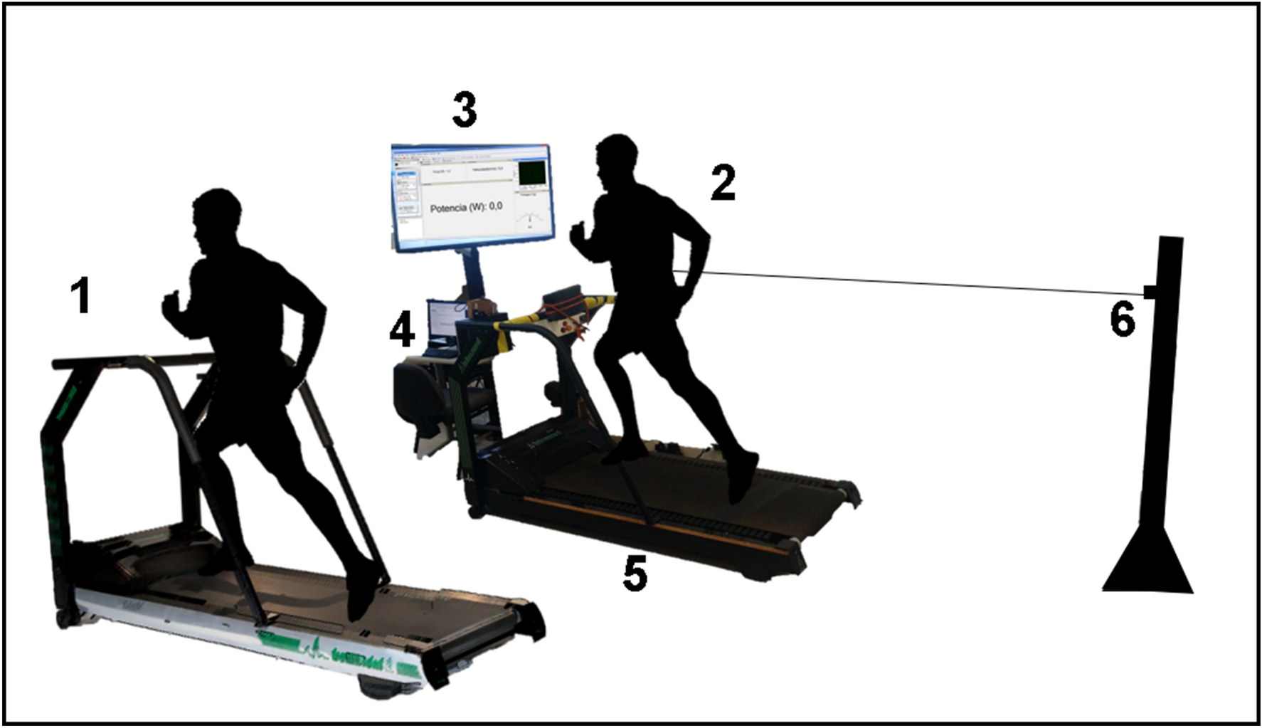 Comparison of physiological responses of running on a nonmotorized and  conventional motor-propelled treadmill at similar intensities | Scientific  Reports