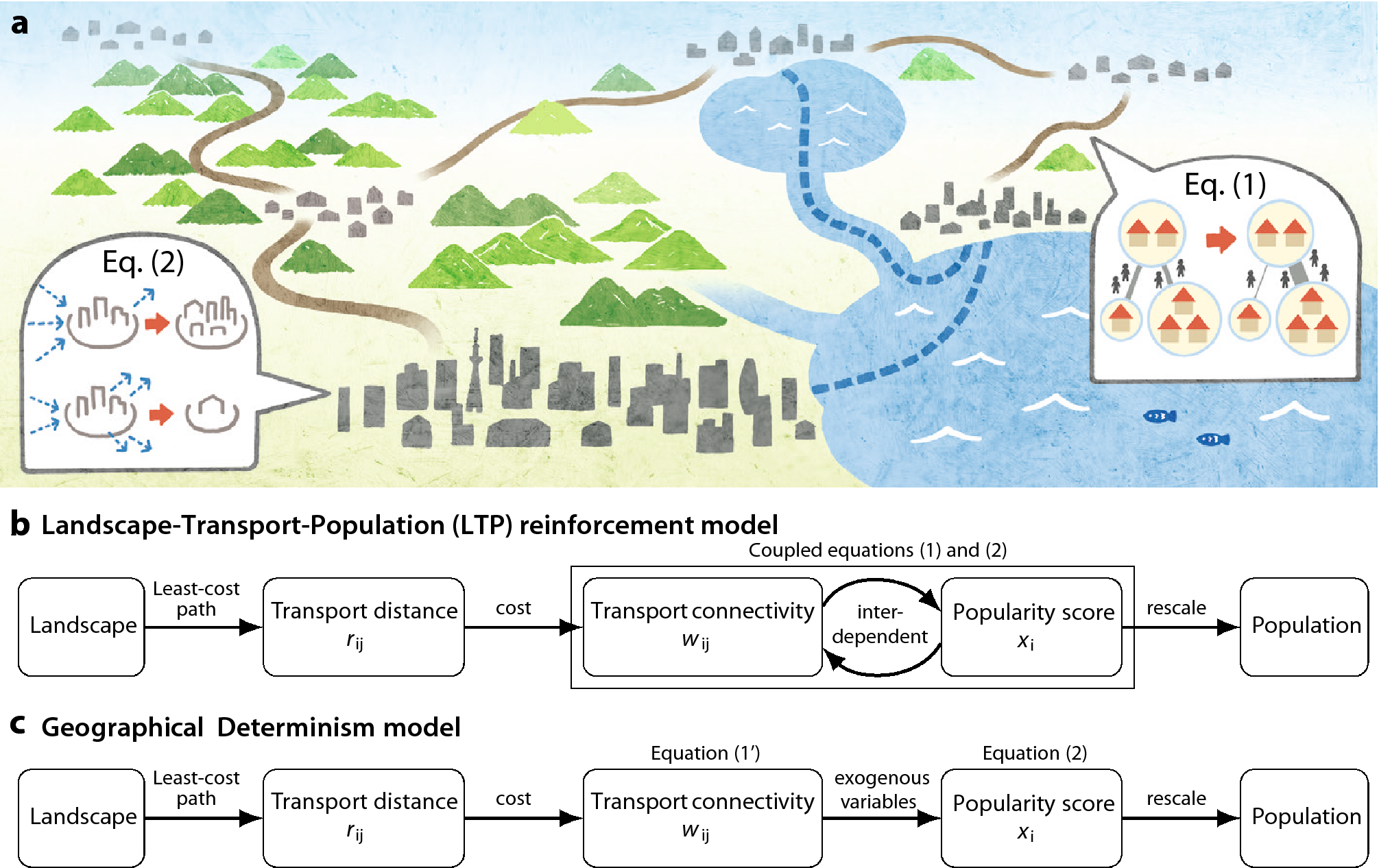 Modelling Transport