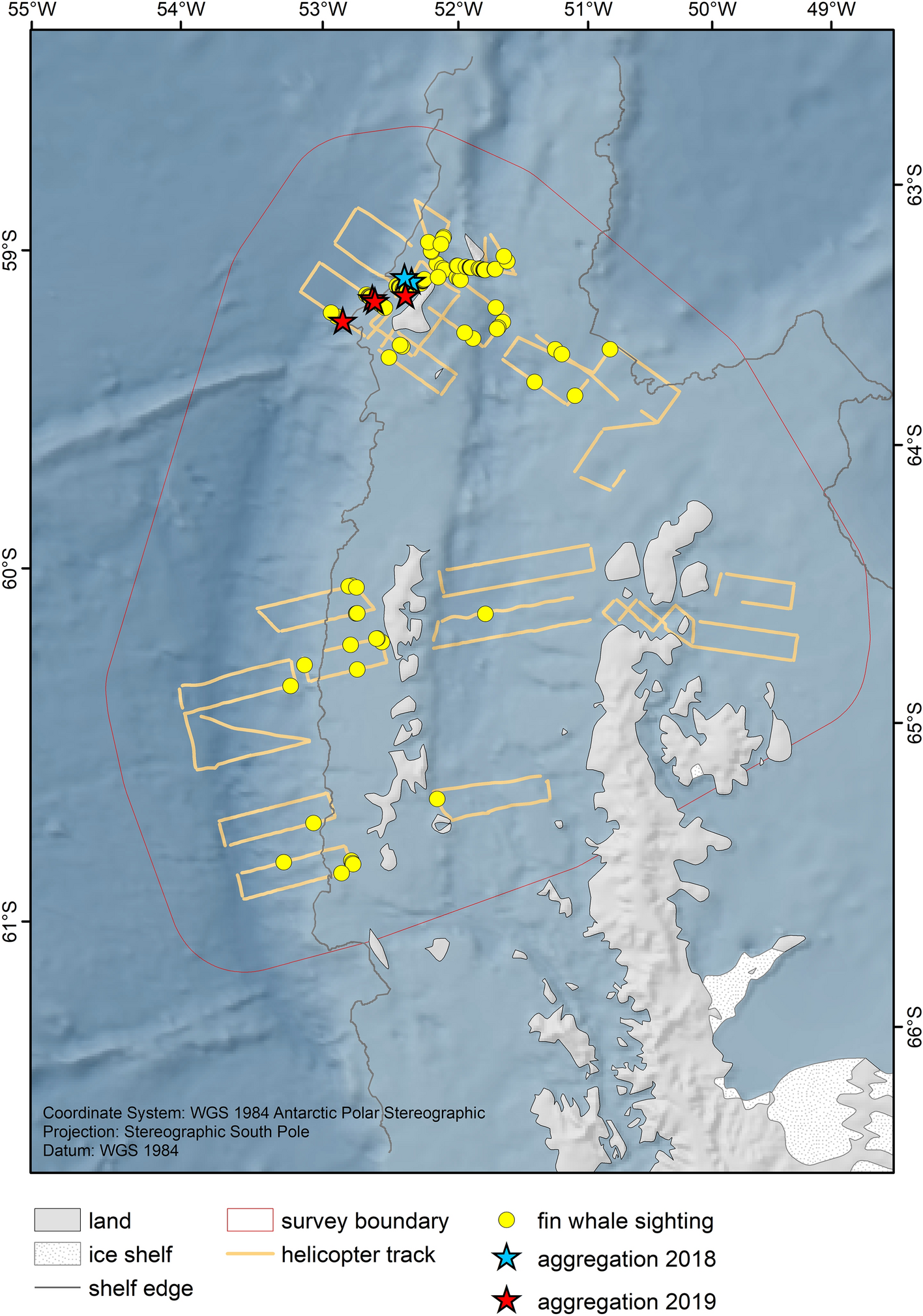 Return of large fin whale feeding aggregations to historical