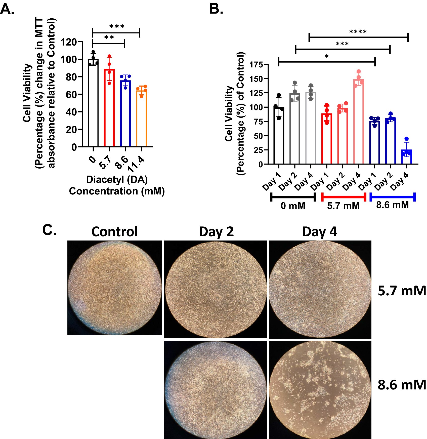 高級　洋裁鋏　♪銀富士♪東利平♪RUGBY　ラグビー♪　裁縫鋏三点セット