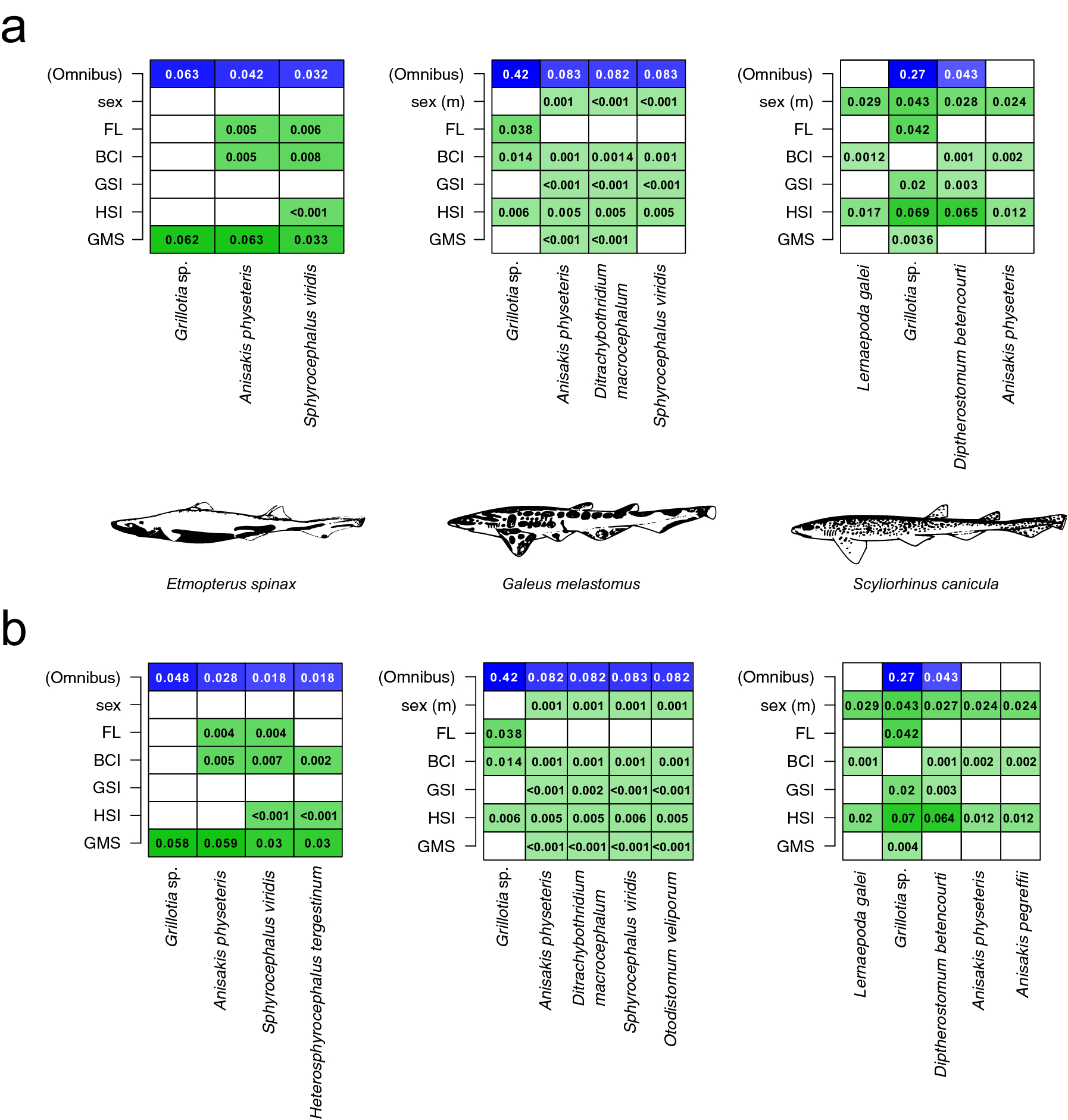 Drivers of parasite communities in three sympatric benthic sharks in the Gulf of Naples (central Mediterranean Sea) Scientific Reports