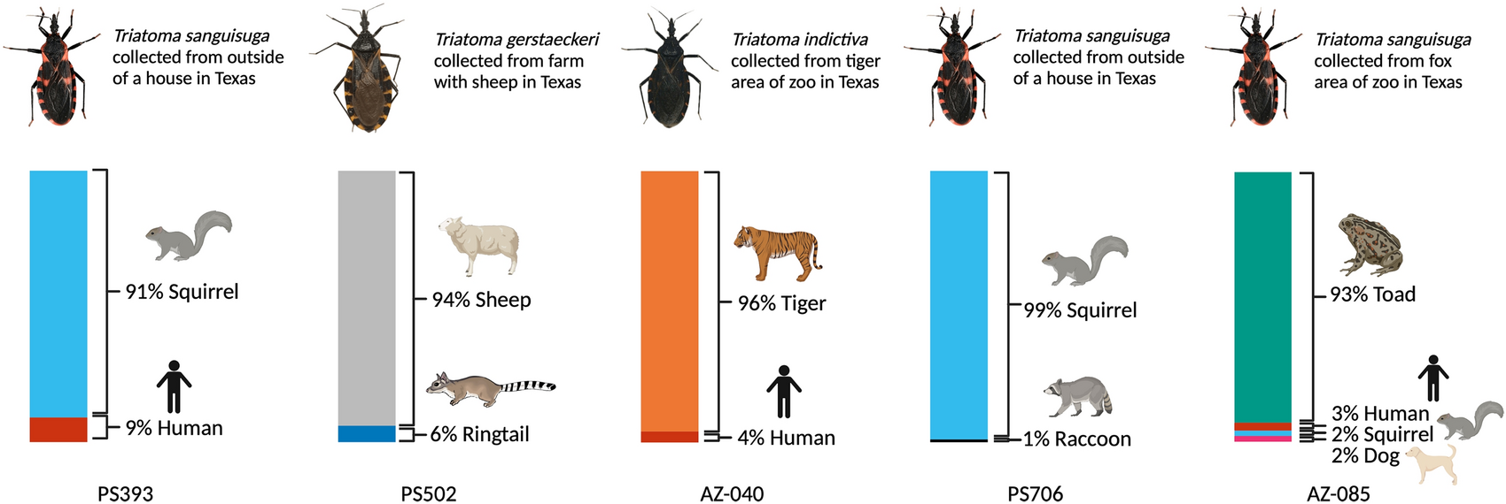 Indices measuring triatomine prevention practices related to (A) rodent