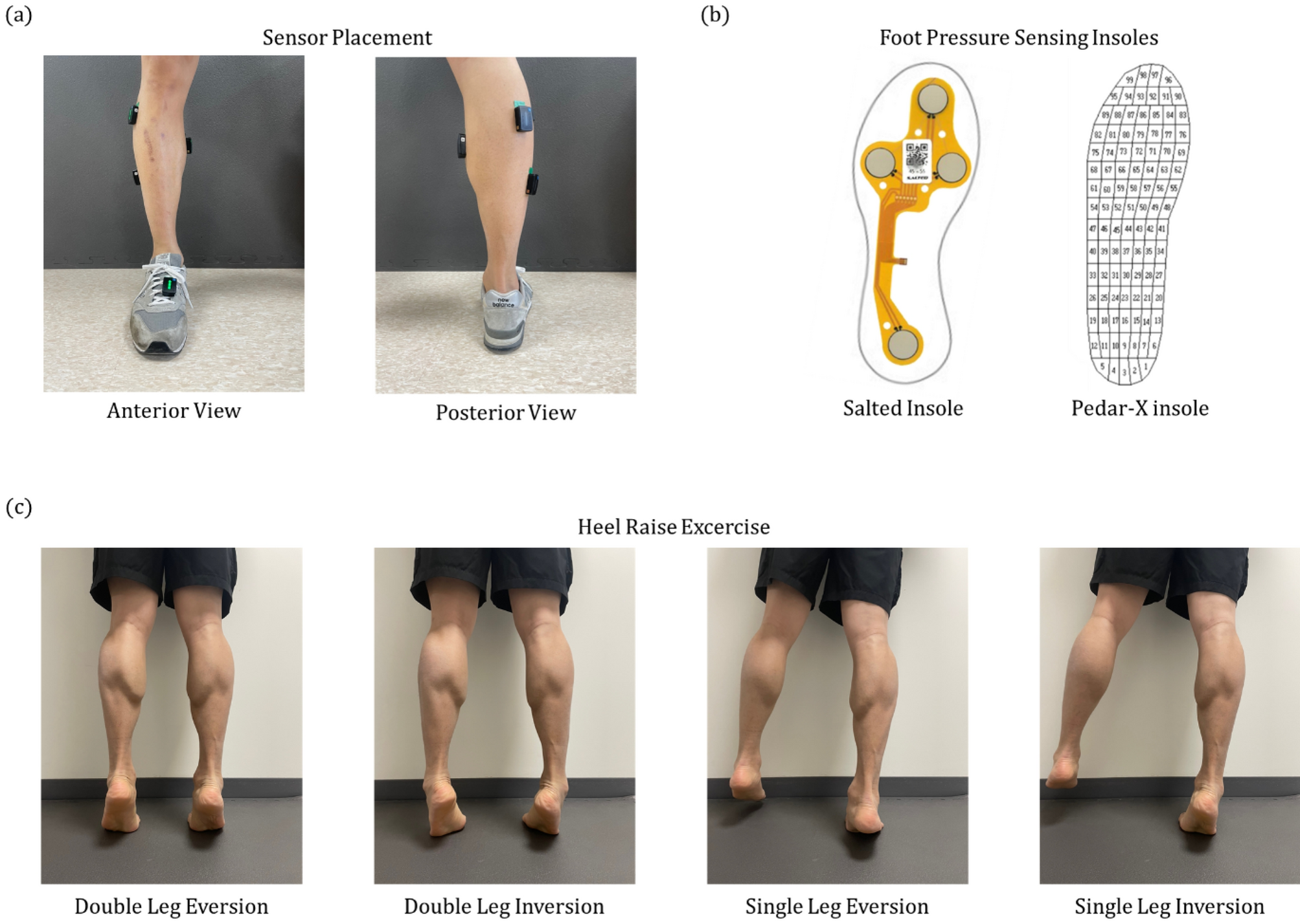 A smart insole system capable of identifying proper heel raise posture for  chronic ankle instability rehabilitation