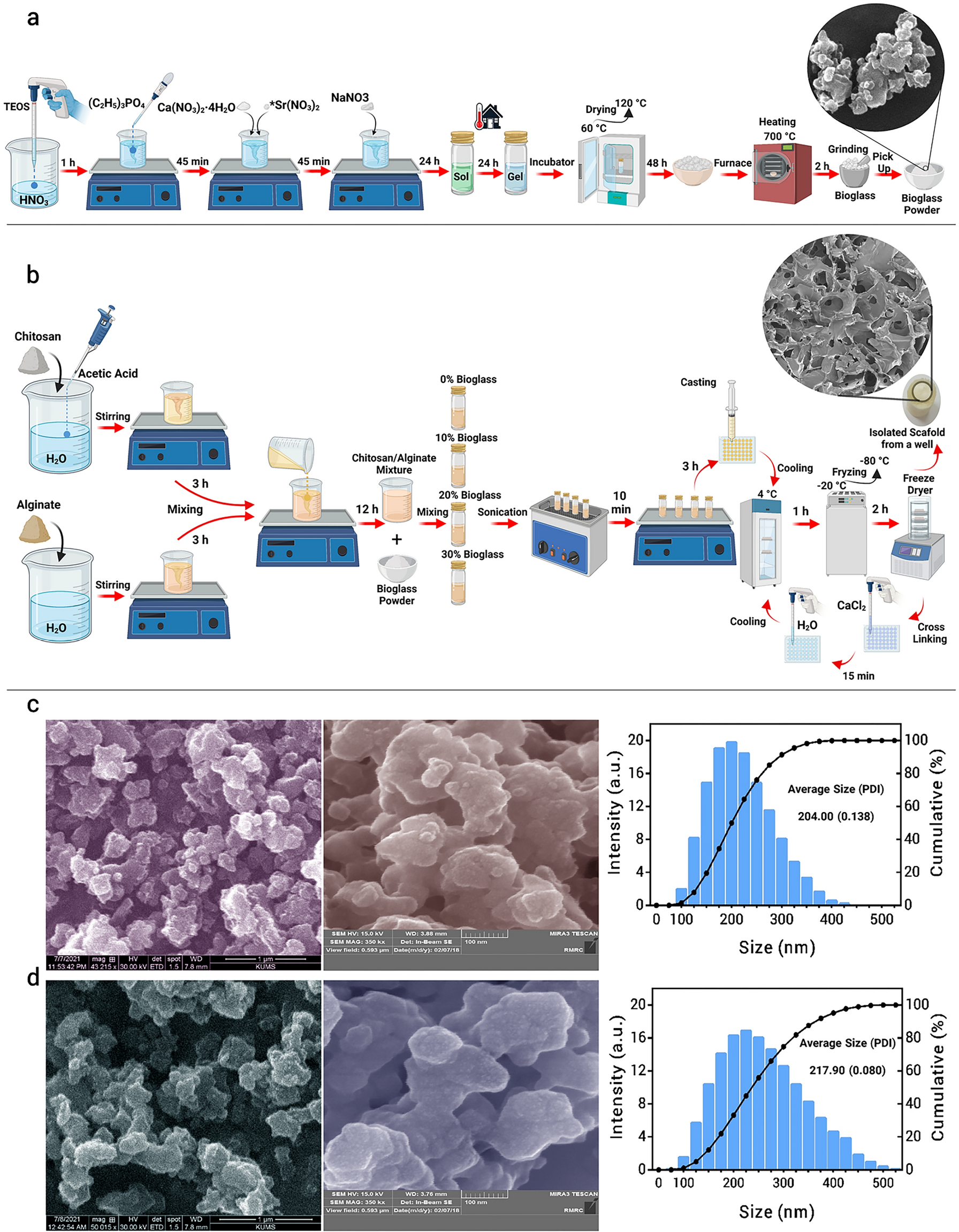 Antibacterial and antioxidant double-layered nanofibrous mat