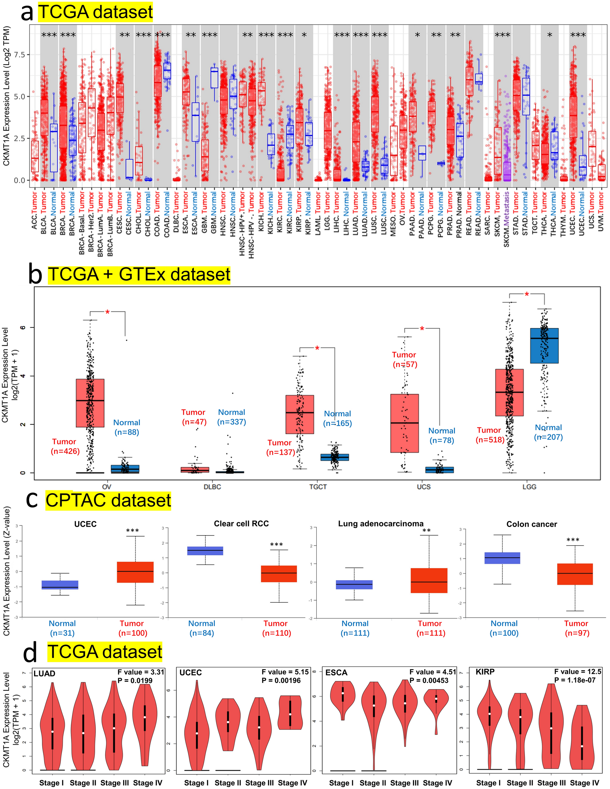 An integrative pan-cancer analysis of molecular characteristics and  oncogenic role of mitochondrial creatine kinase 1A (CKMT1A) in human tumors  | Scientific Reports