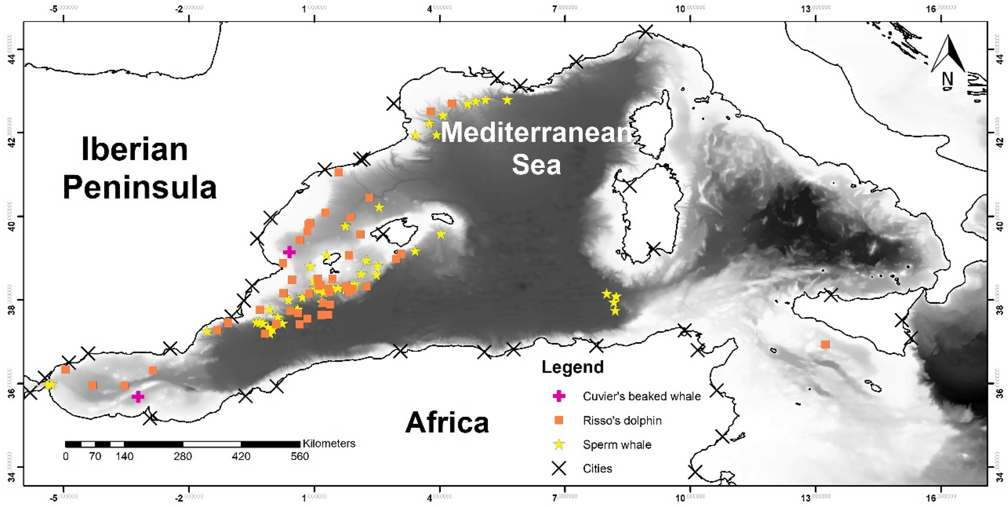 Mediterranean Sea Warming Forces Marine Species into Deep Water