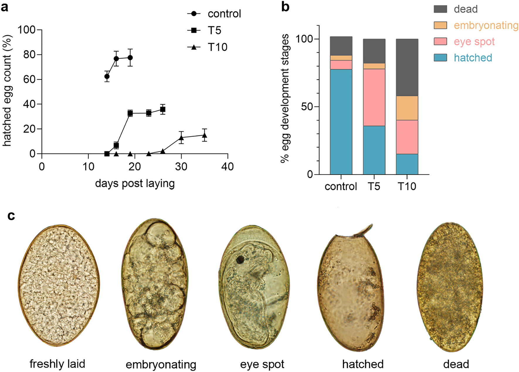 Transcriptomic and proteomic profiling of peptidase expression in Fasciola  hepatica eggs developing at host's body temperature | Scientific Reports