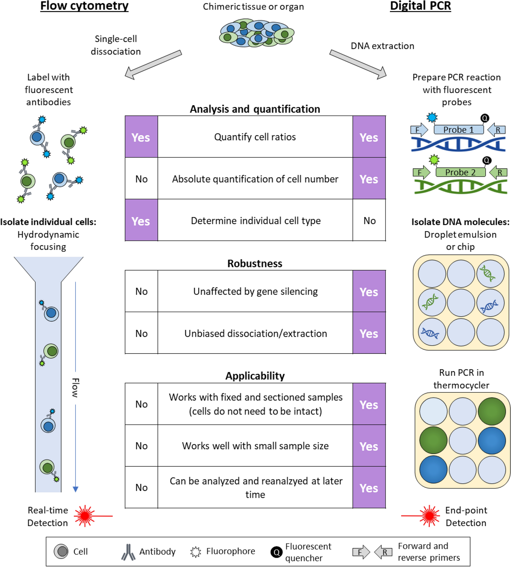 Streamlined and quantitative detection of chimerism using digital PCR |  Scientific Reports