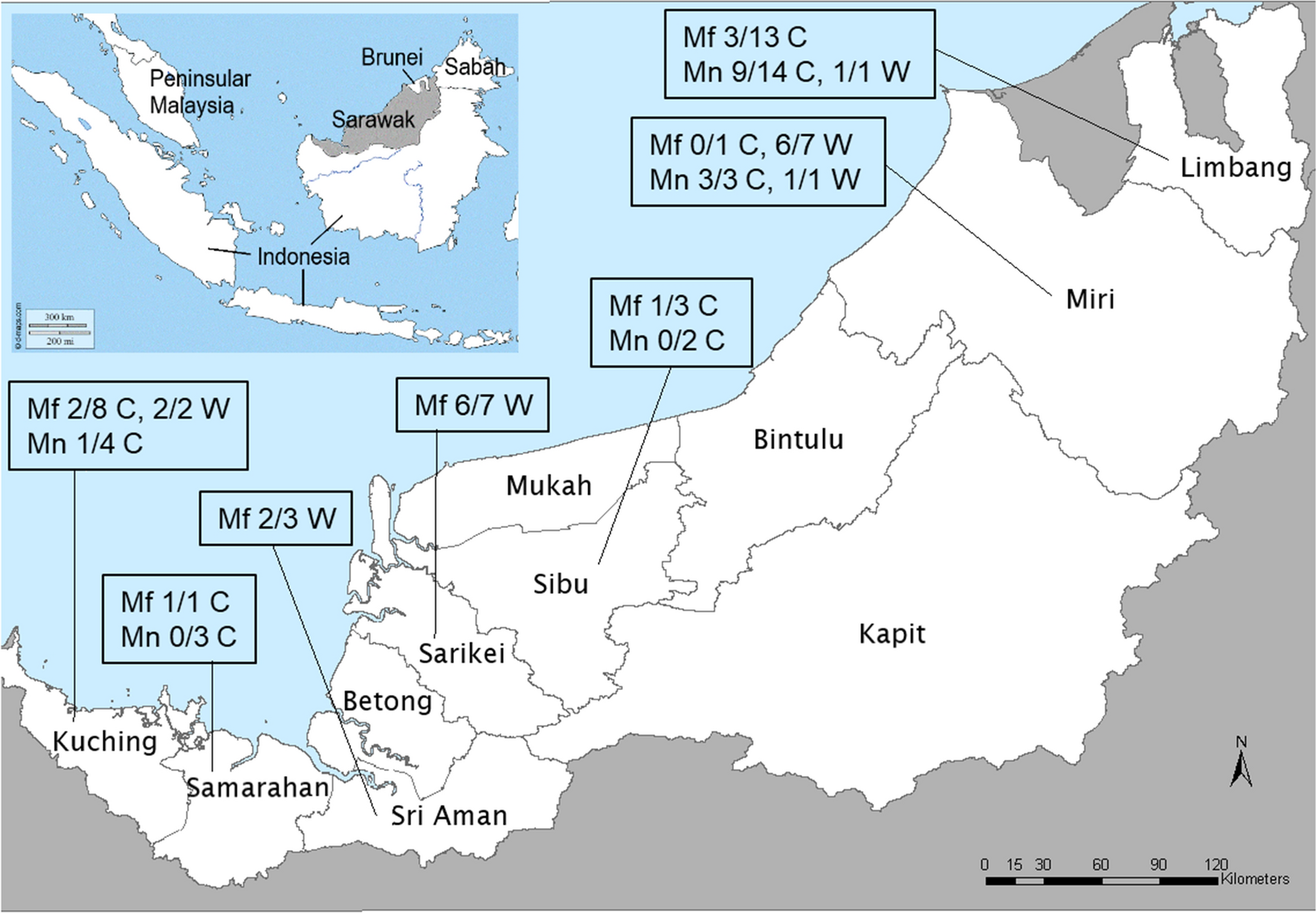 Volume 3, No. 1, 1971 - Borneo Research Council